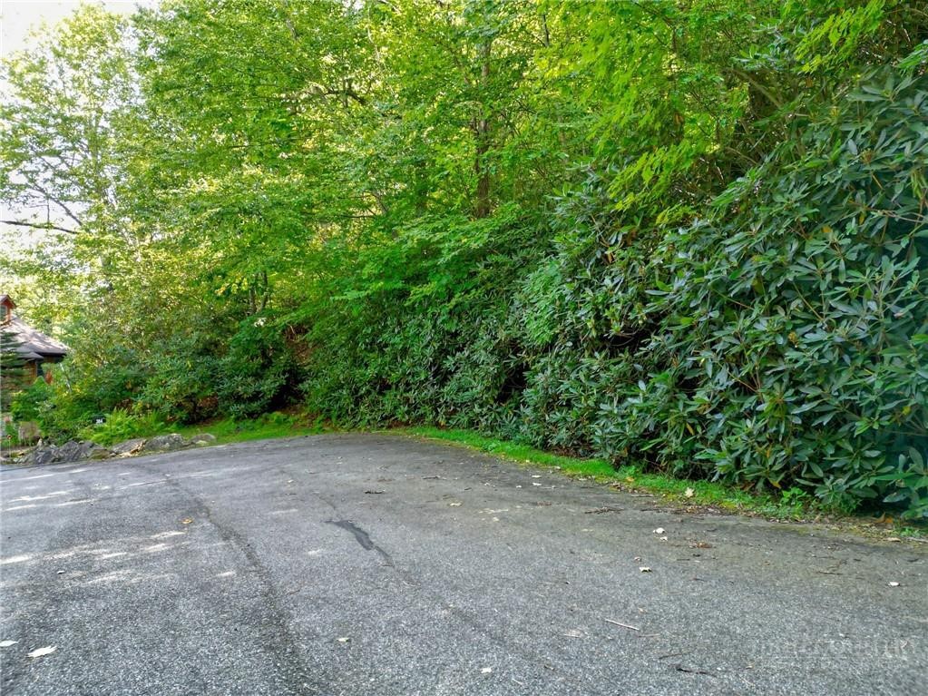 Highland Lakes Road Blowing Rock, NC 28605 - Photo 2 of 15