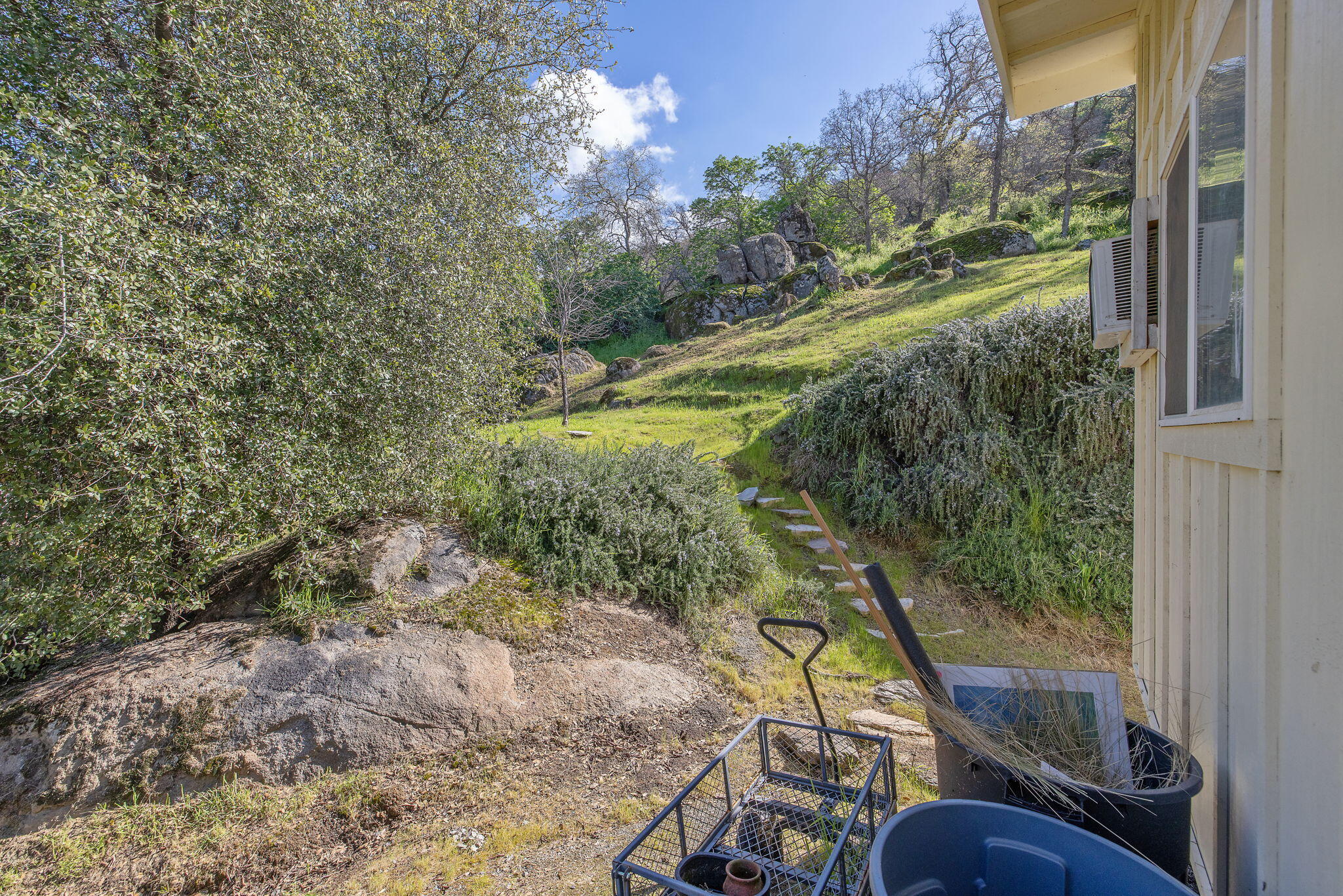 40209 Redtail Lane Three Rivers, CA 93271 - Photo 73 of 167 67-web-or-mls-713A5897