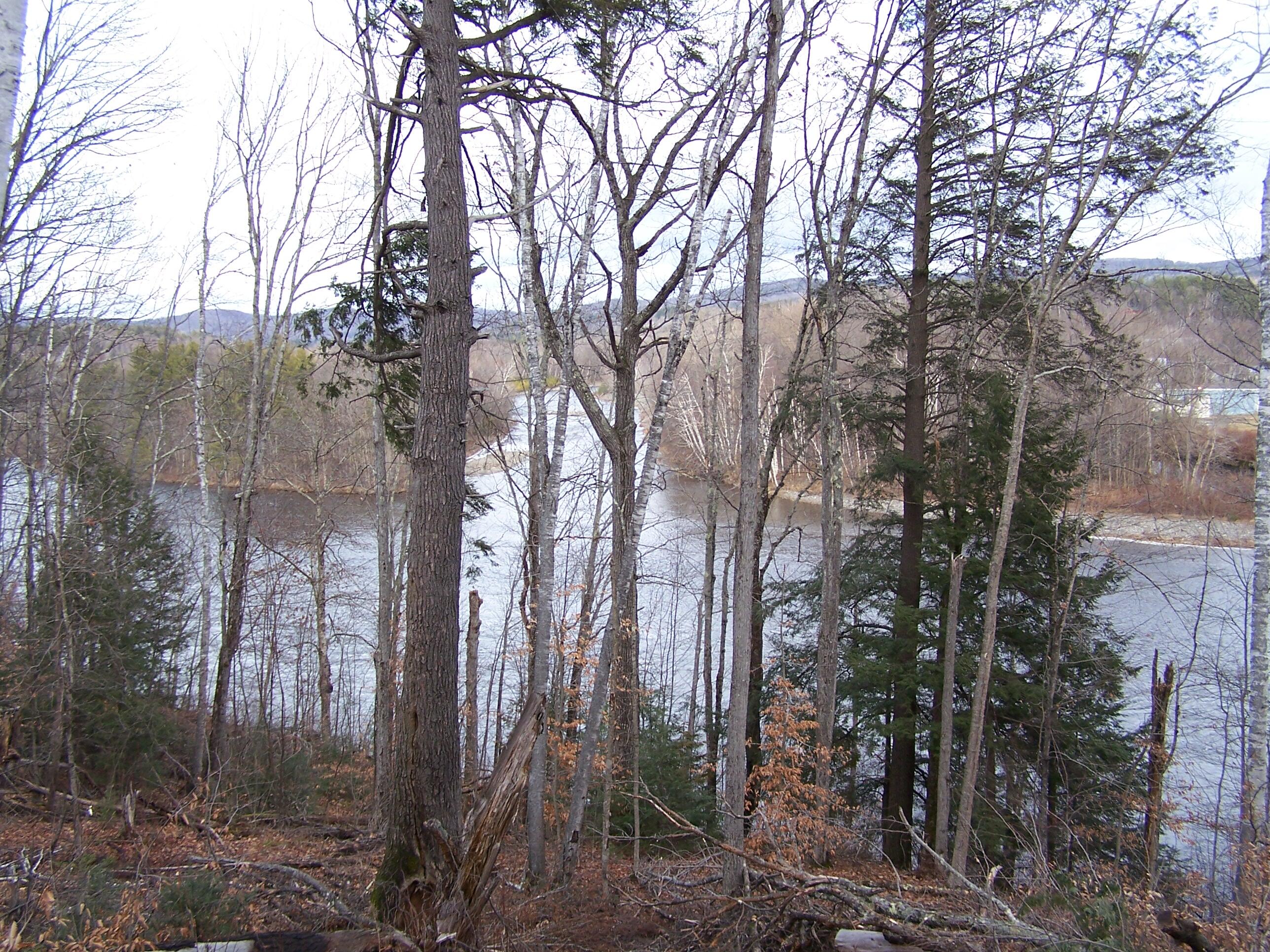 0 Pleasant Ridge Road, Unit PARCEL A Concord Township, ME 04920 - Photo 2 of 4 100_4333
