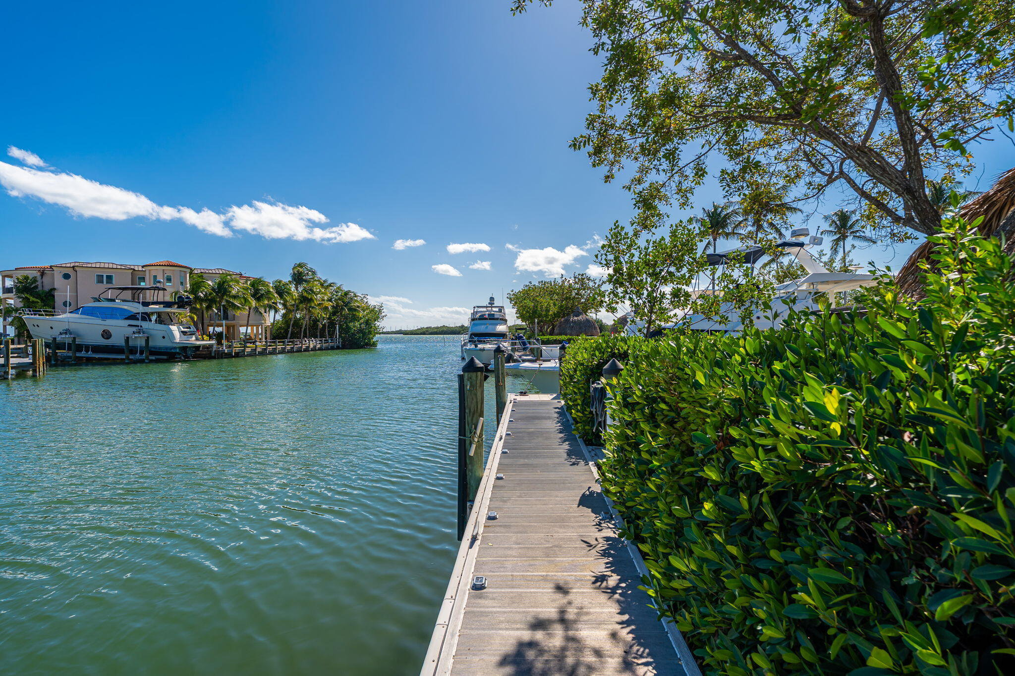 100 Morris Lane Key Largo, FL 33037 - Photo 163 of 192 a view of a lake with a large trees