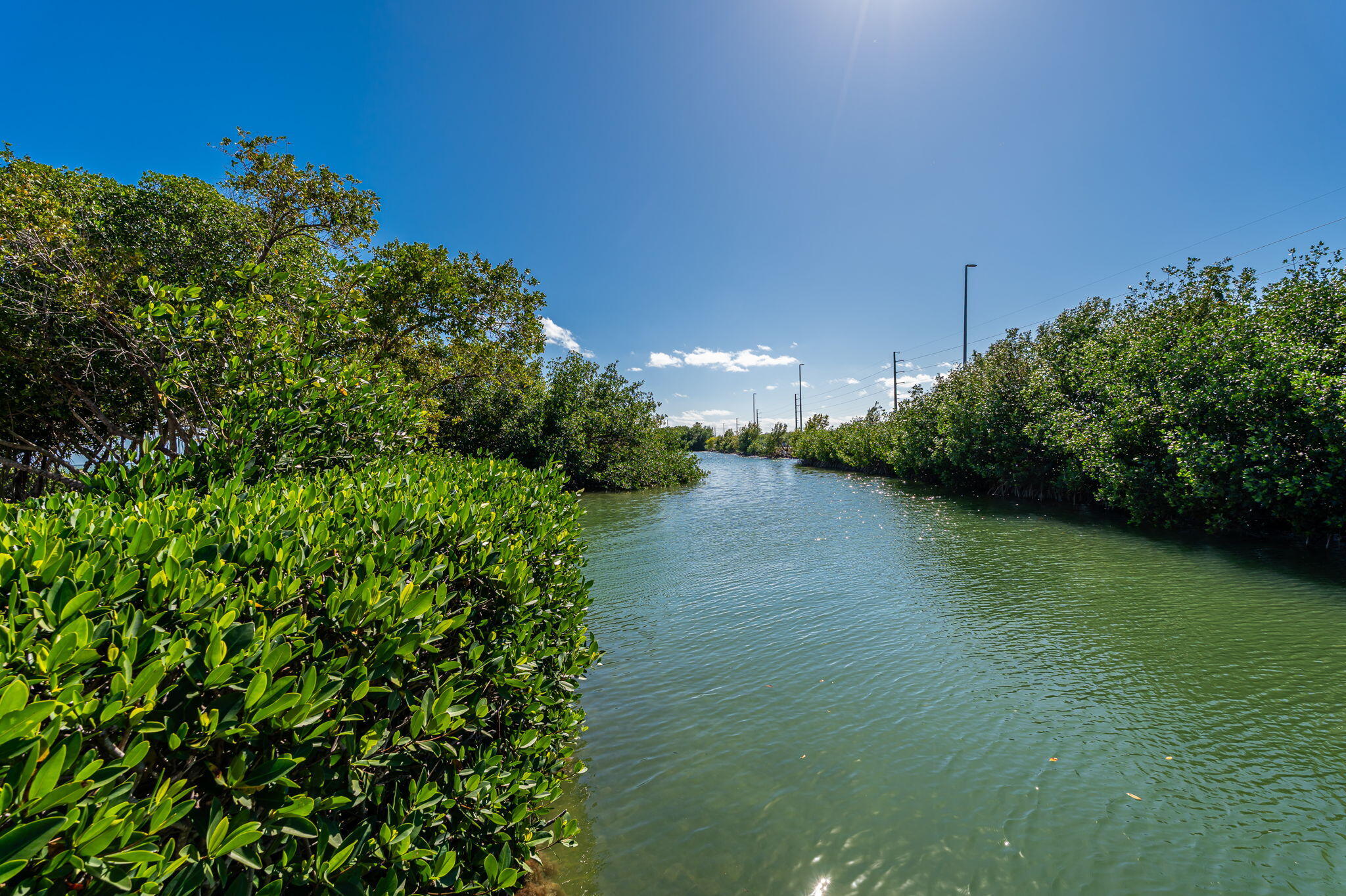 100 Morris Lane Key Largo, FL 33037 - Photo 177 of 192 177-web-or-mls-MBC-188