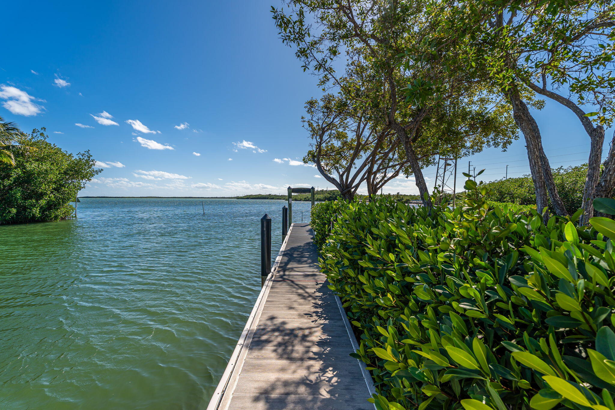 100 Morris Lane Key Largo, FL 33037 - Photo 183 of 192 a backyard of a house with lots of green space