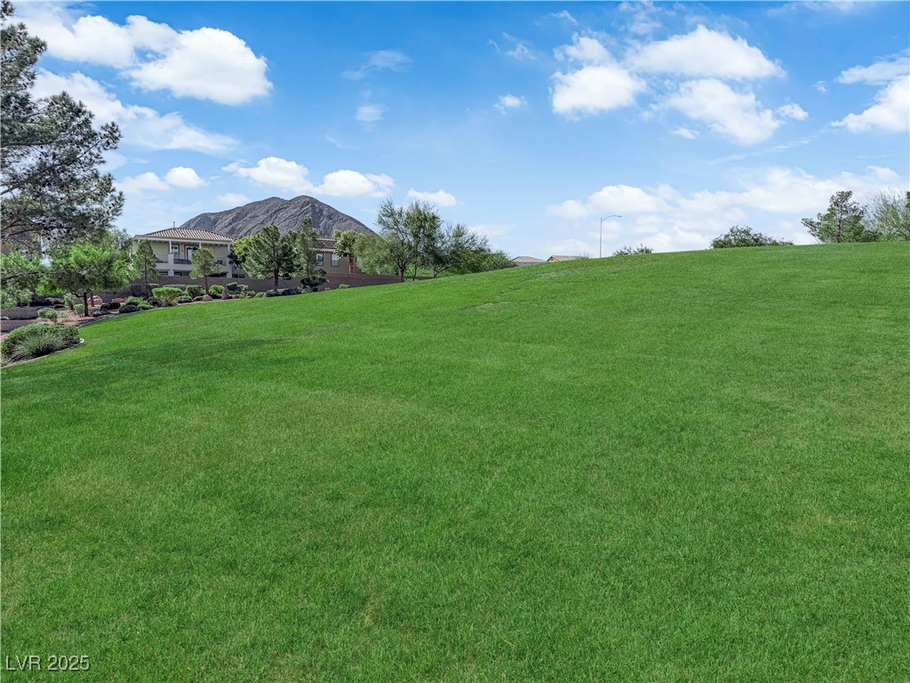 676 Monument Point Street Henderson, NV 89002 - Photo 49 of 49 Community Park