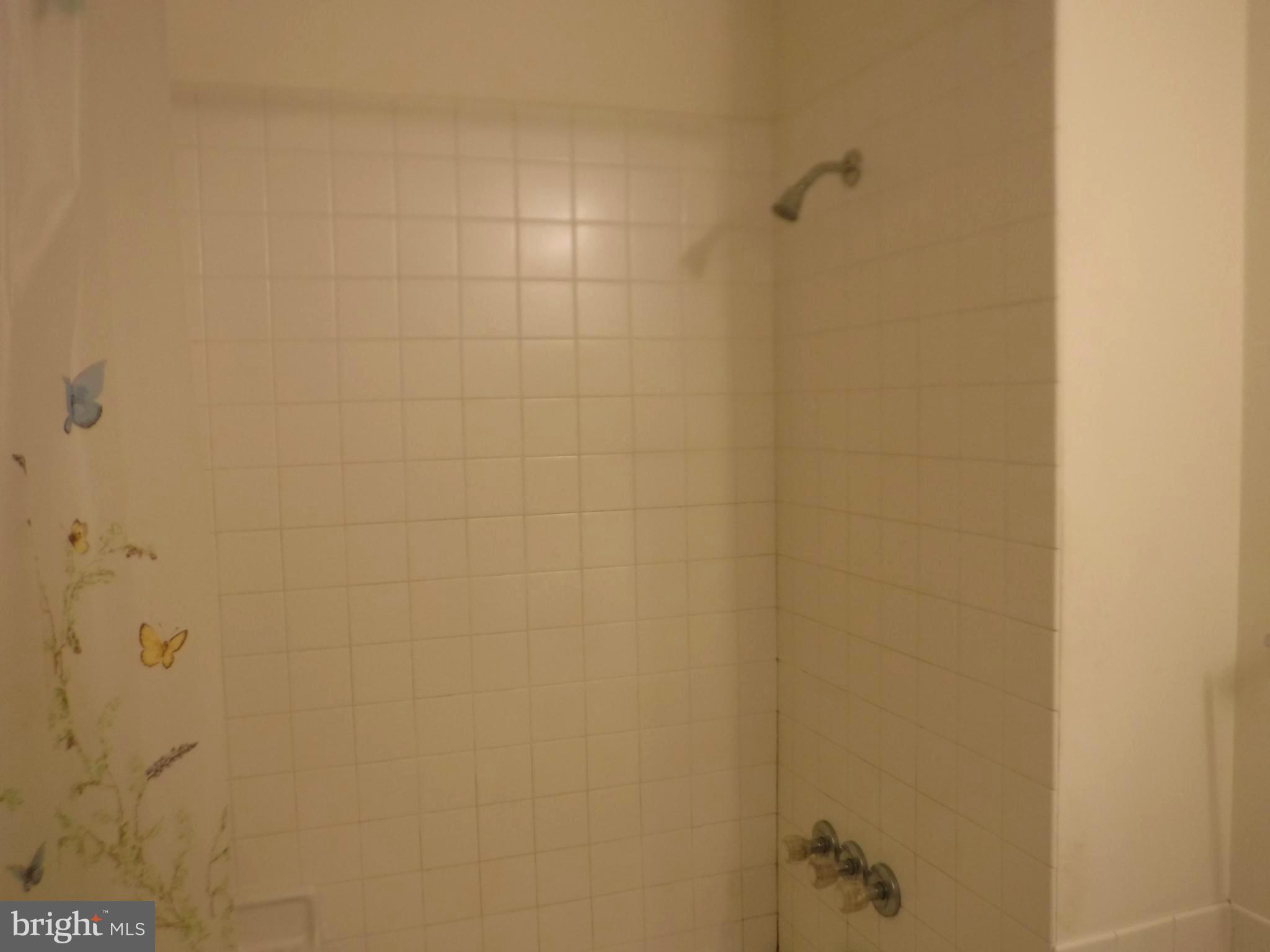 952 Linwood Road Hagerstown, MD 21740 - Photo 44 of 83 Bath (Master)