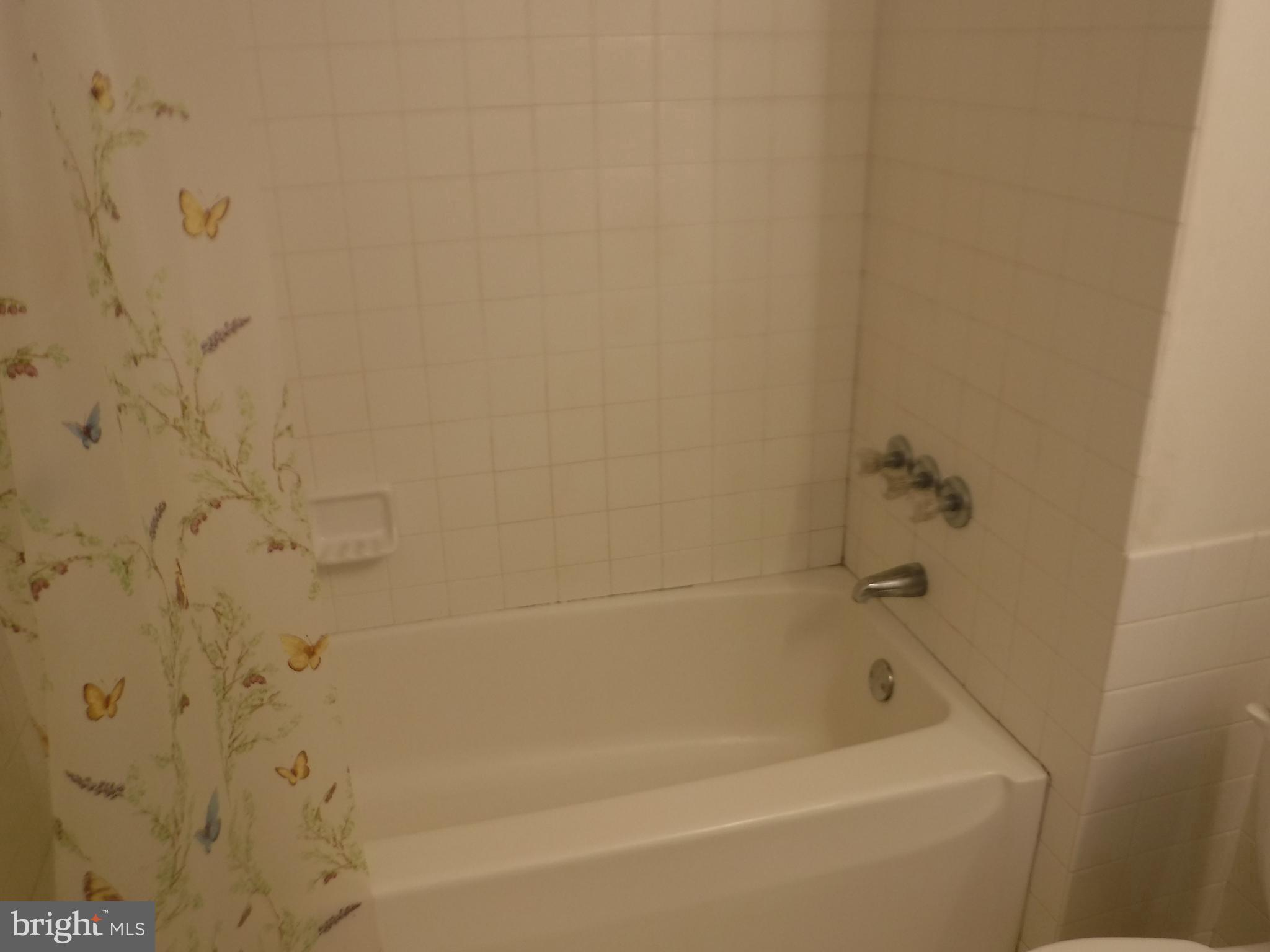 952 Linwood Road Hagerstown, MD 21740 - Photo 45 of 83 Bath (Master)