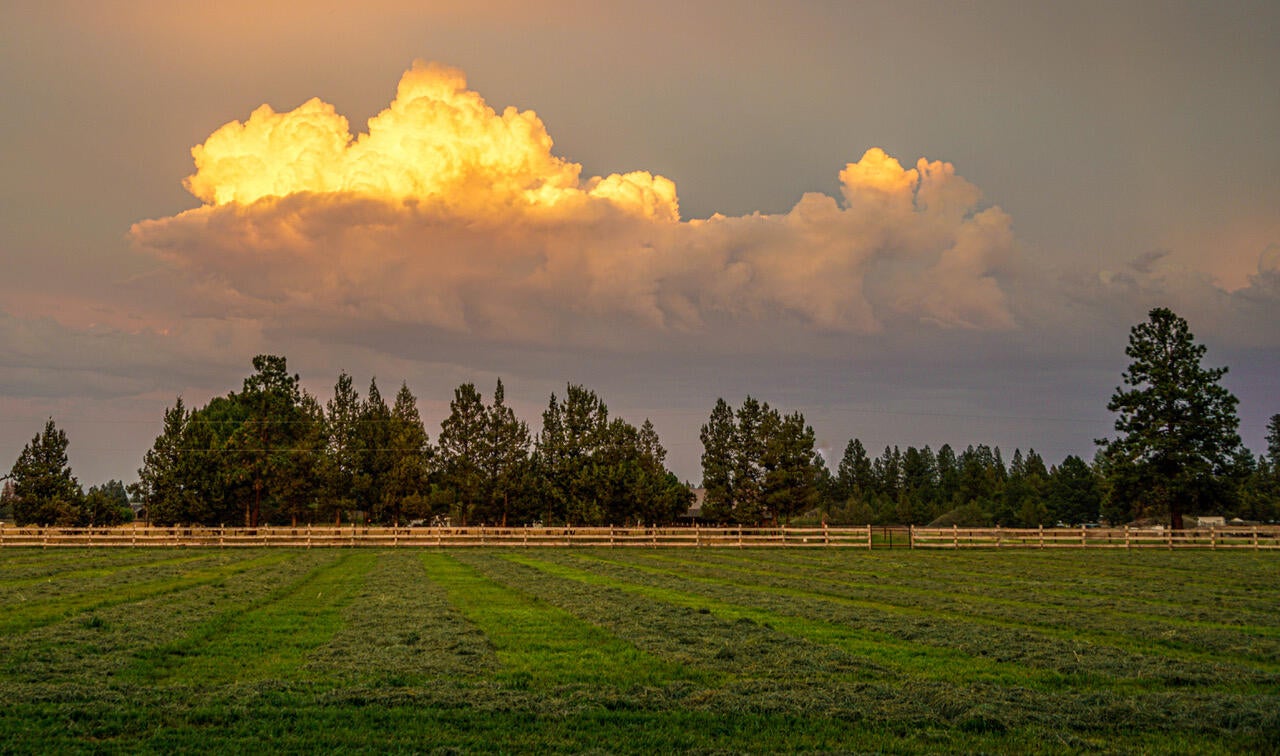 64473 Rock Springs Road Bend, OR 97703 - Photo 57 of 73 image008