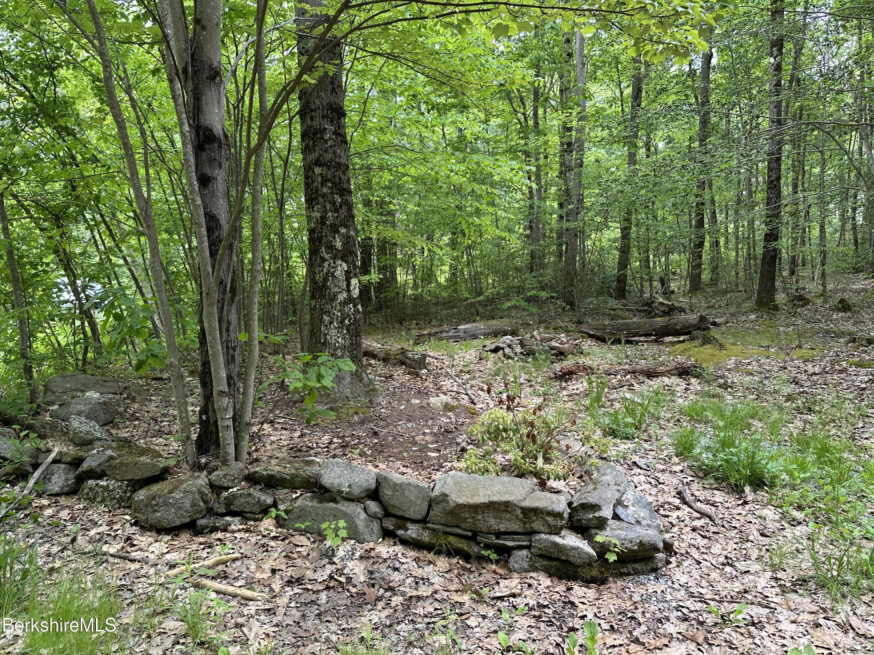 54.2 South Sandisfield Road Sandisfield, MA 01255 - Photo 1 of 12 a view of a forest with trees in the background