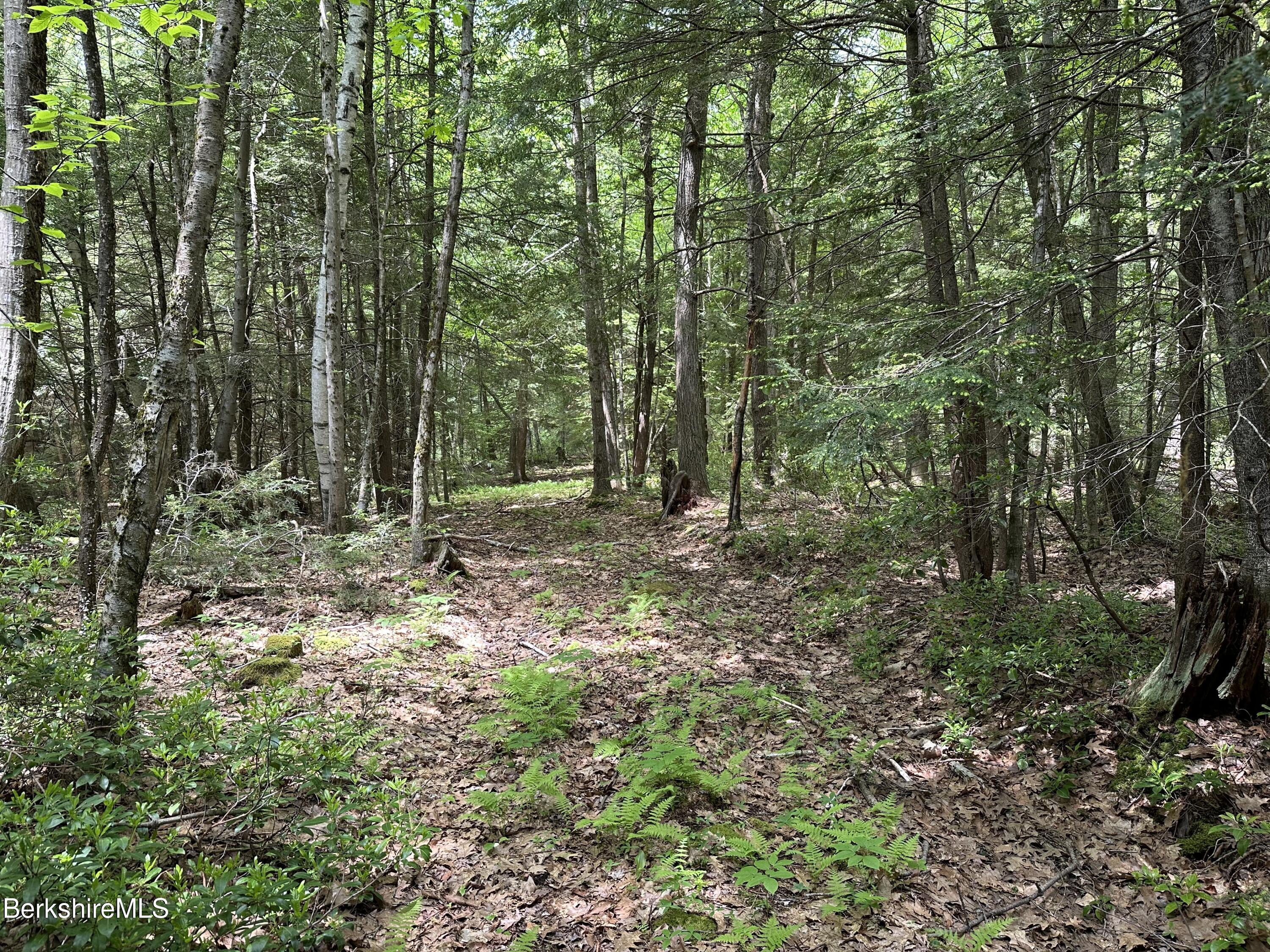 54.2 South Sandisfield Road Sandisfield, MA 01255 - Photo 11 of 12 a view of outdoor space and green space