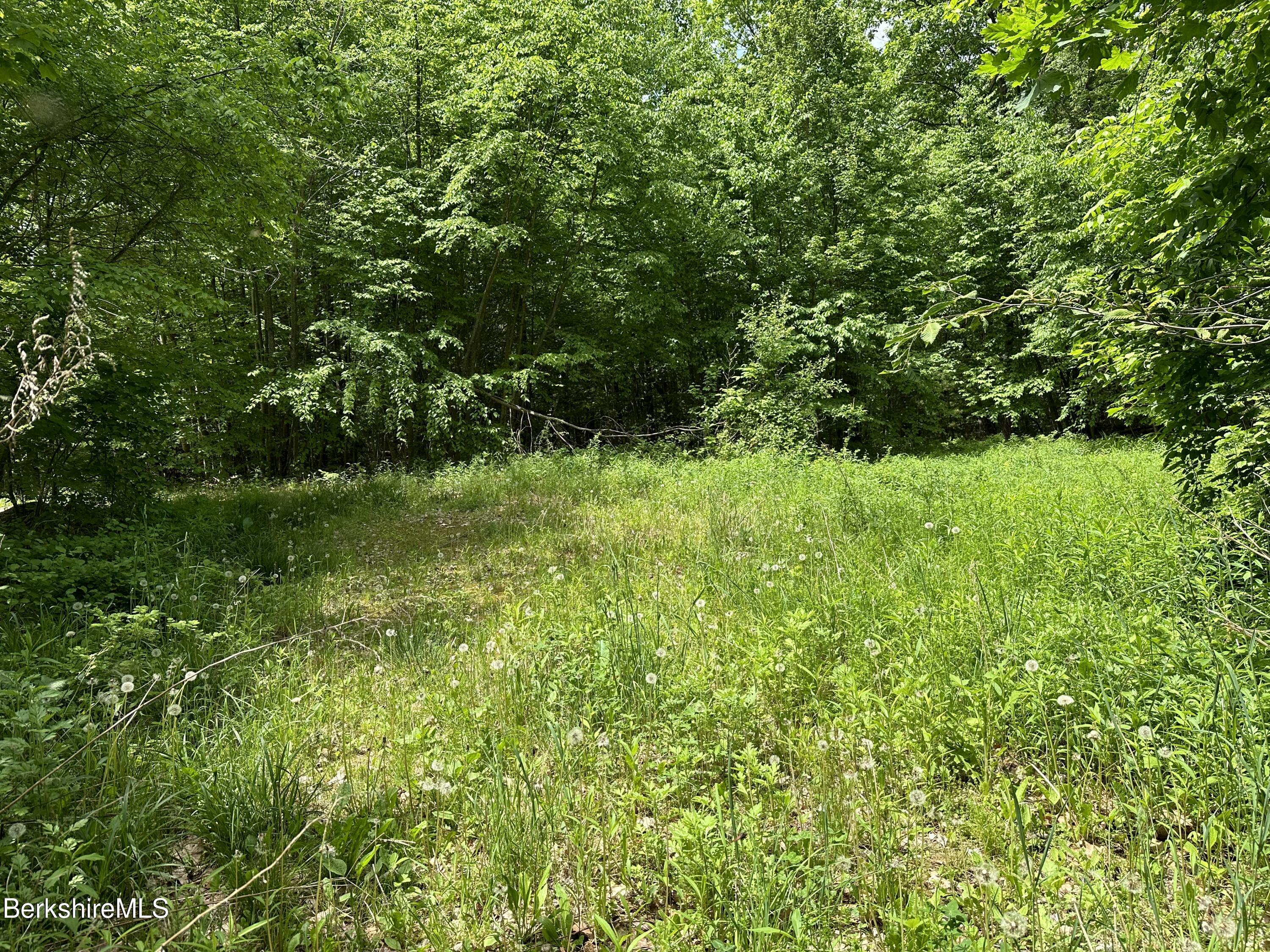54.2 South Sandisfield Road Sandisfield, MA 01255 - Photo 2 of 12 a view of a lush green space