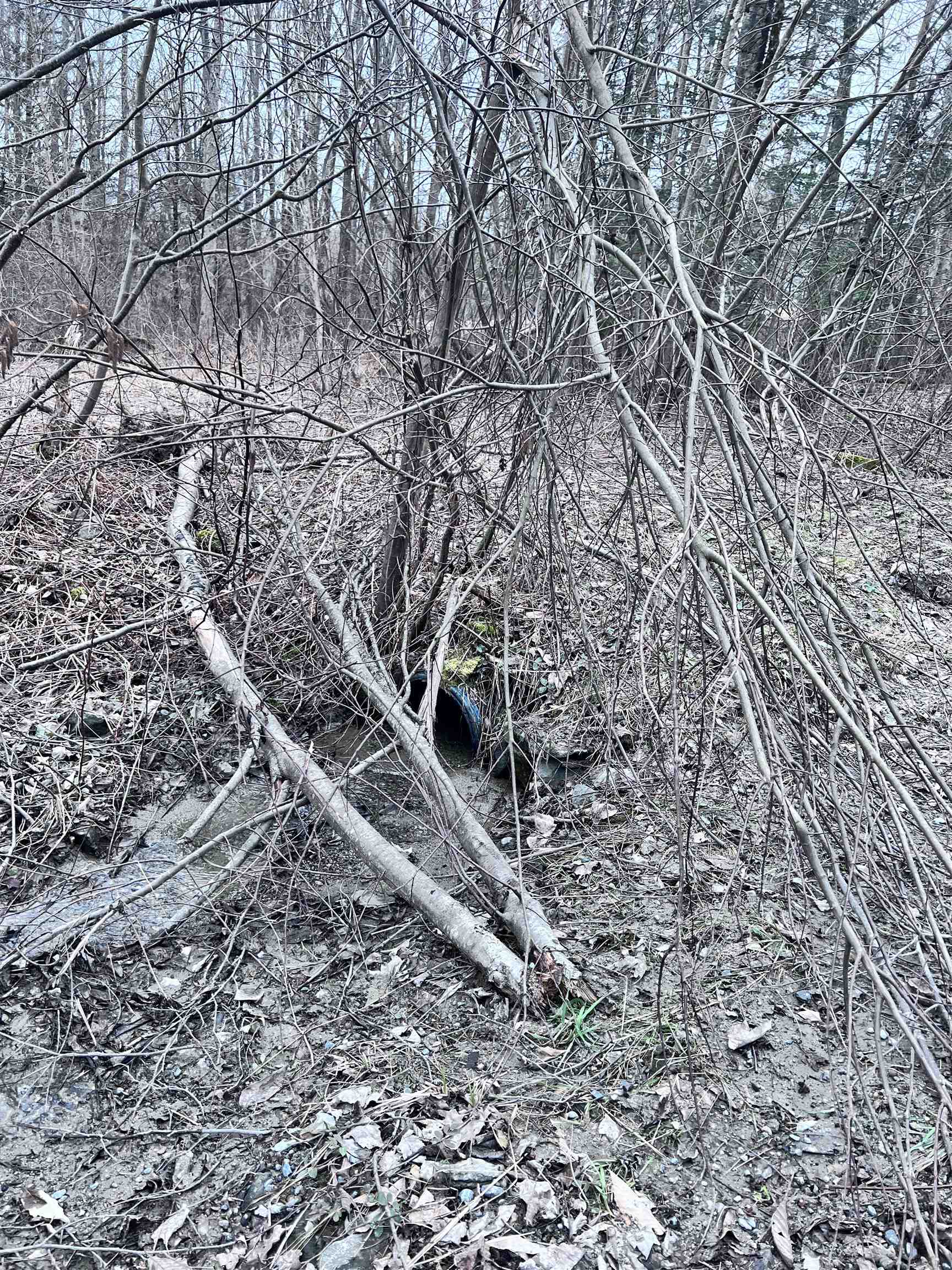 0 Baptist Hill Road Lunenburg, VT 05906 - Photo 11 of 16