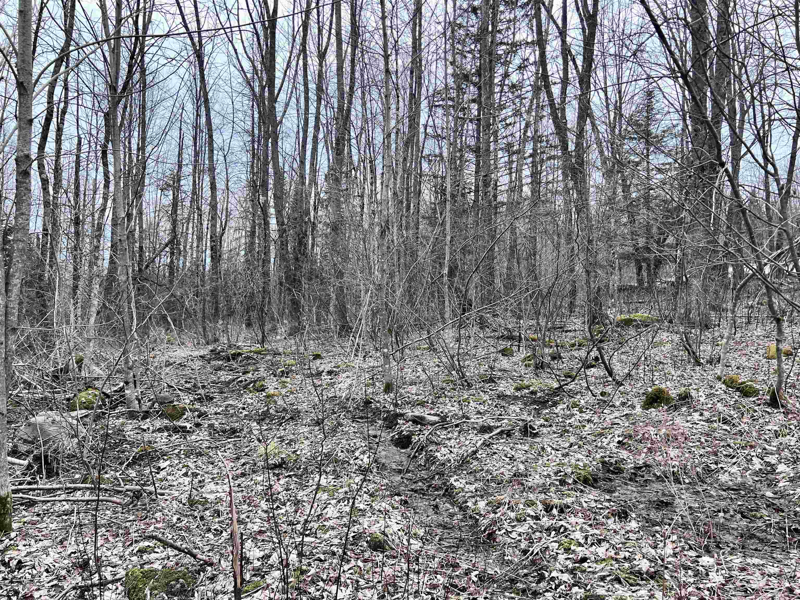 0 Baptist Hill Road Lunenburg, VT 05906 - Photo 12 of 16