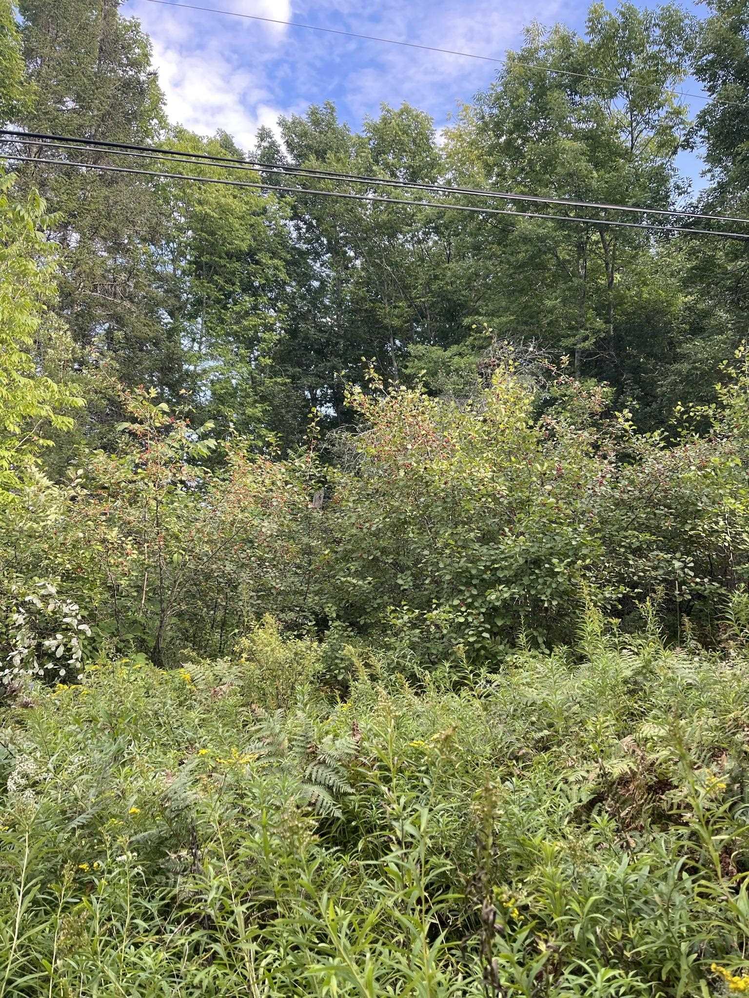 0 Baptist Hill Road Lunenburg, VT 05906 - Photo 15 of 16