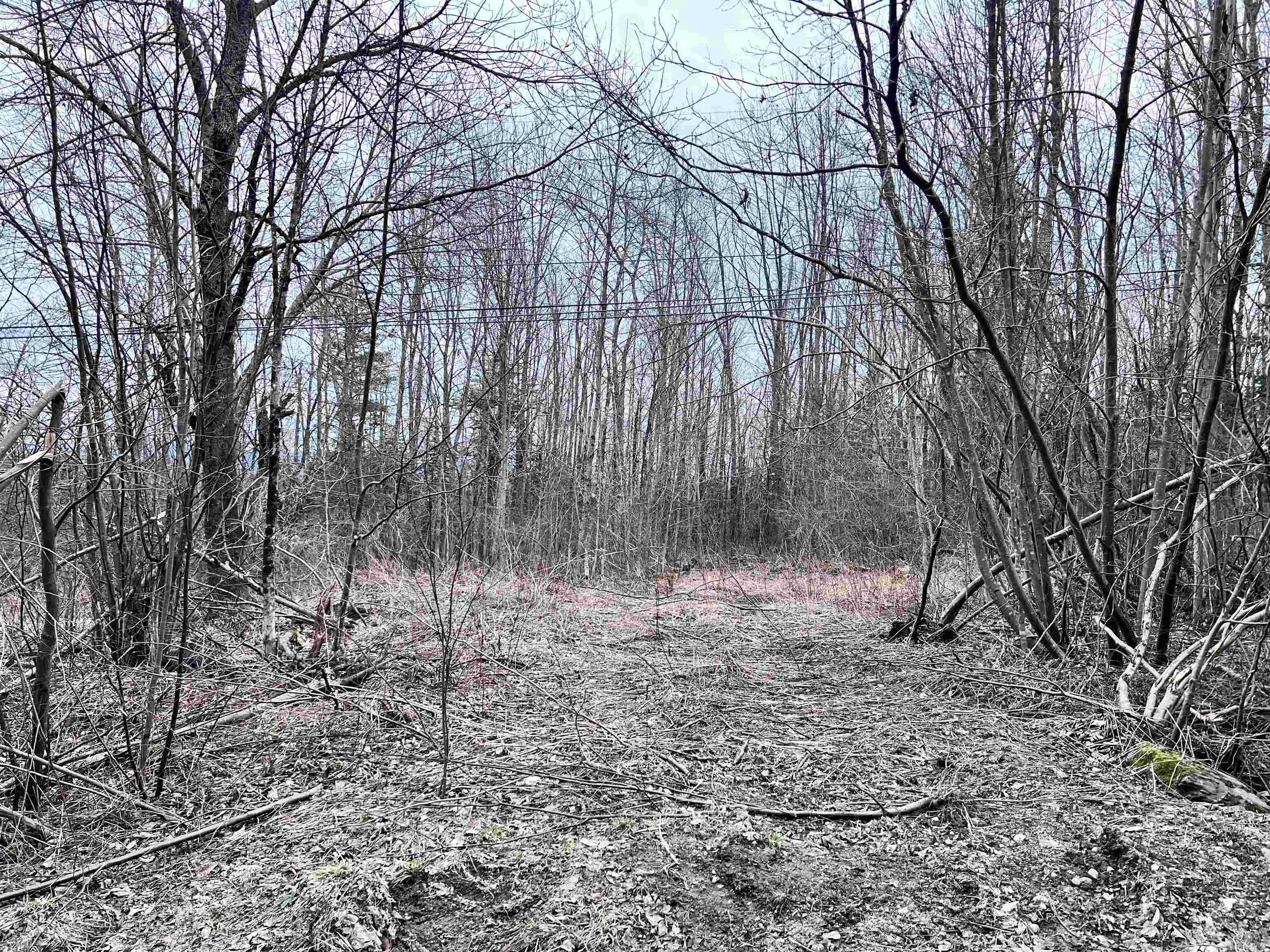 0 Baptist Hill Road Lunenburg, VT 05906 - Photo 2 of 16