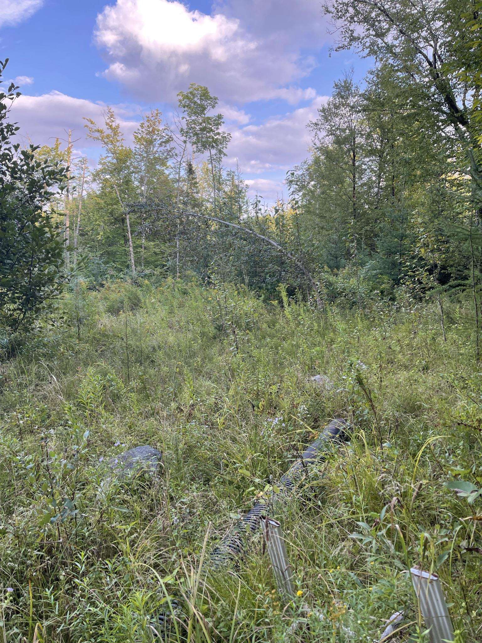 0 Baptist Hill Road Lunenburg, VT 05906 - Photo 7 of 16