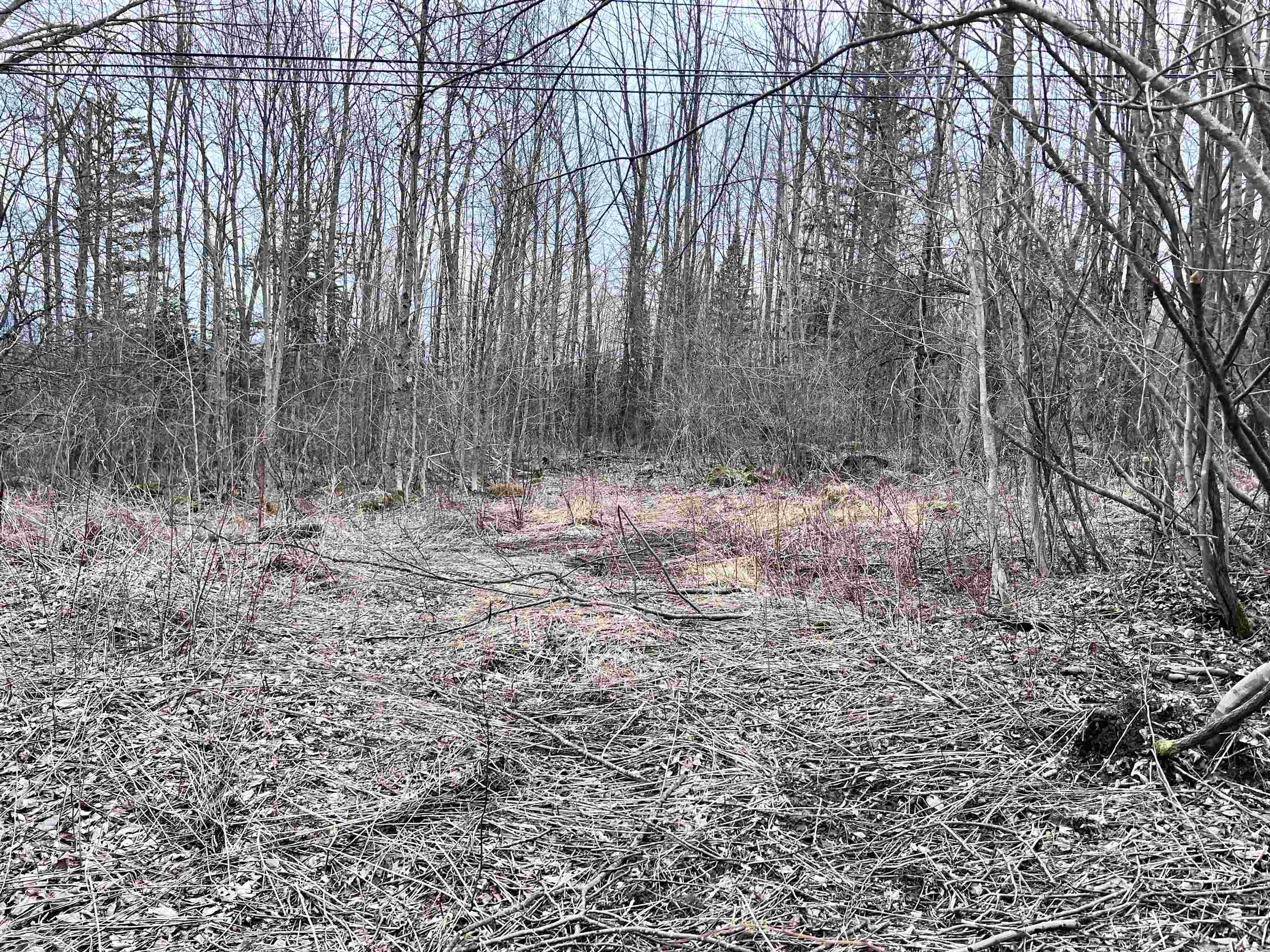 0 Baptist Hill Road Lunenburg, VT 05906 - Photo 9 of 16