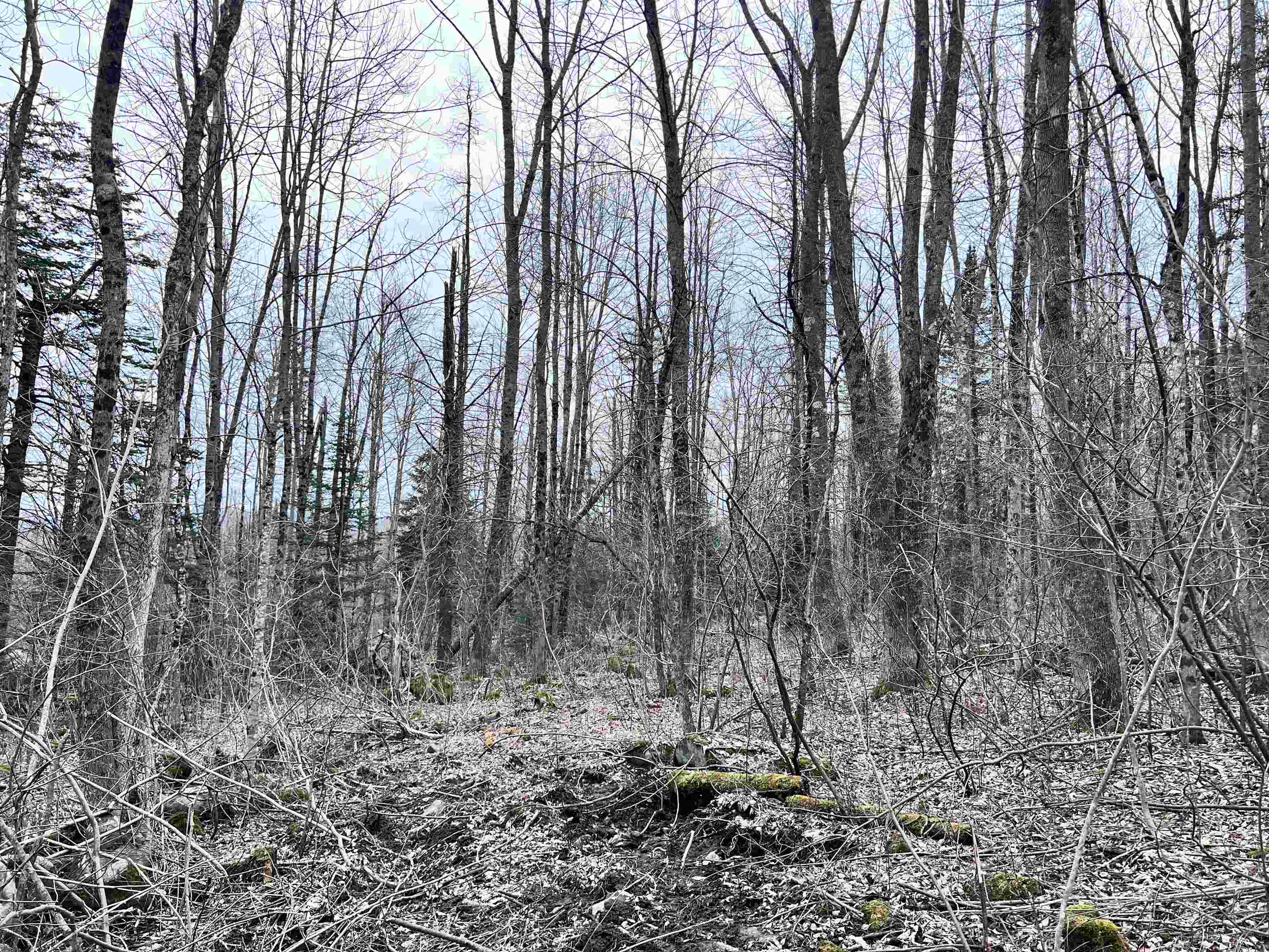 0 Baptist Hill Road Lunenburg, VT 05906 - Photo 10 of 16