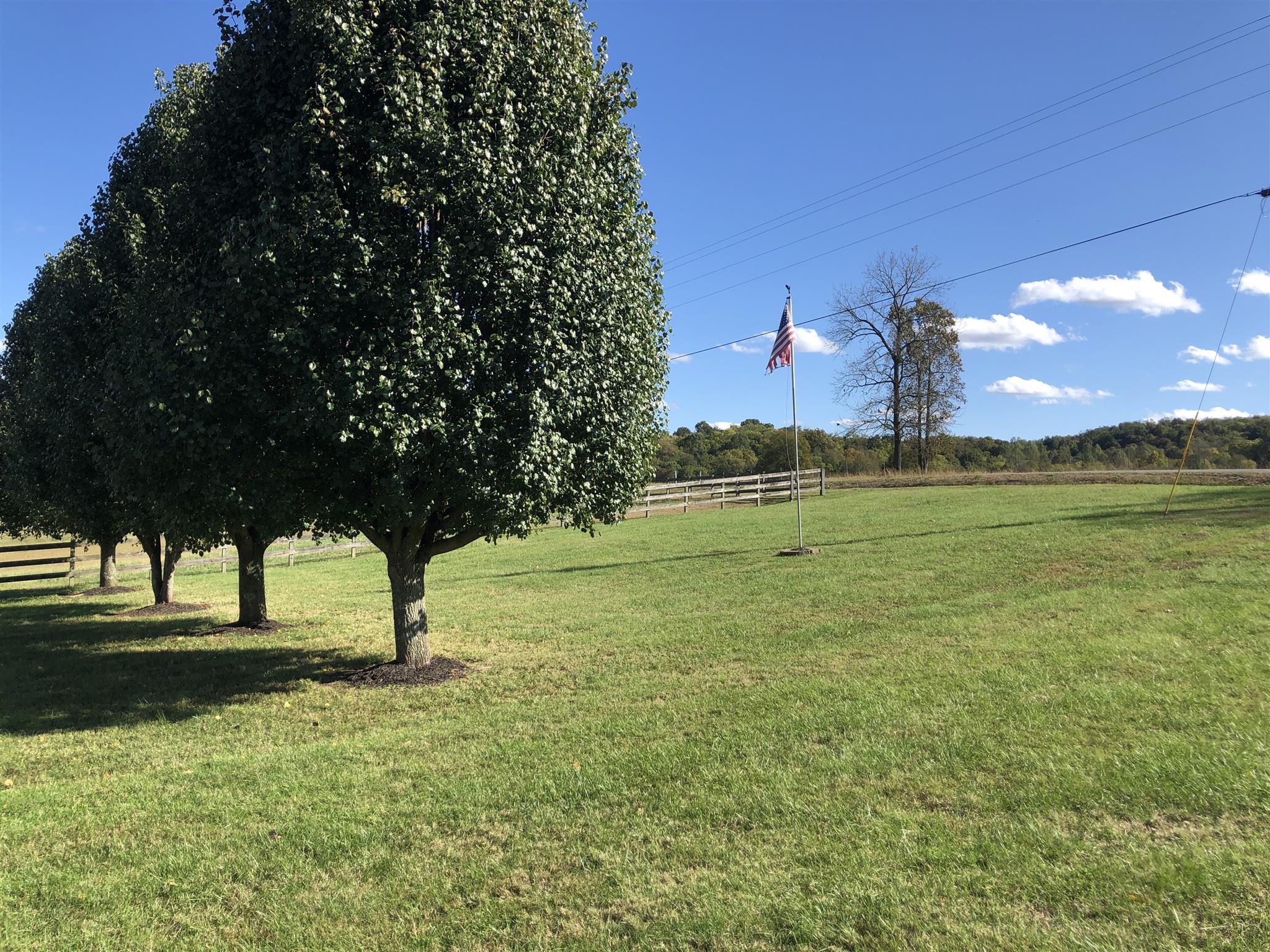 8743 Howell Road Mount Pleasant, TN 38474 - Photo 20 of 29 Gallery Image 20