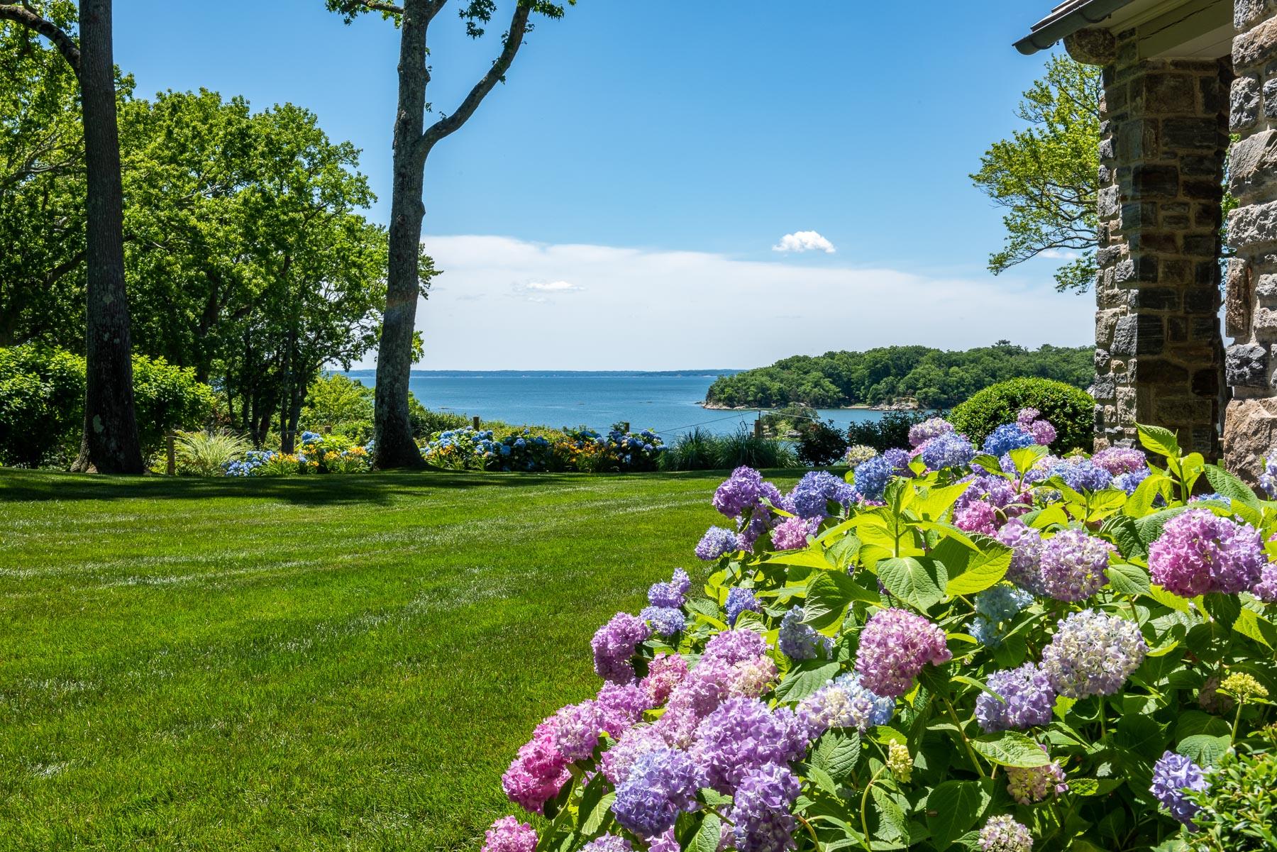 16 Raiders Lane Darien, CT 06820 - Photo 5 of 53 a view of a flower in a garden