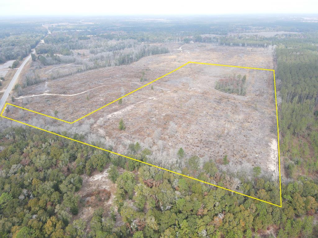87 Samson Al Samson, AL 36477 - Photo 1 of 33