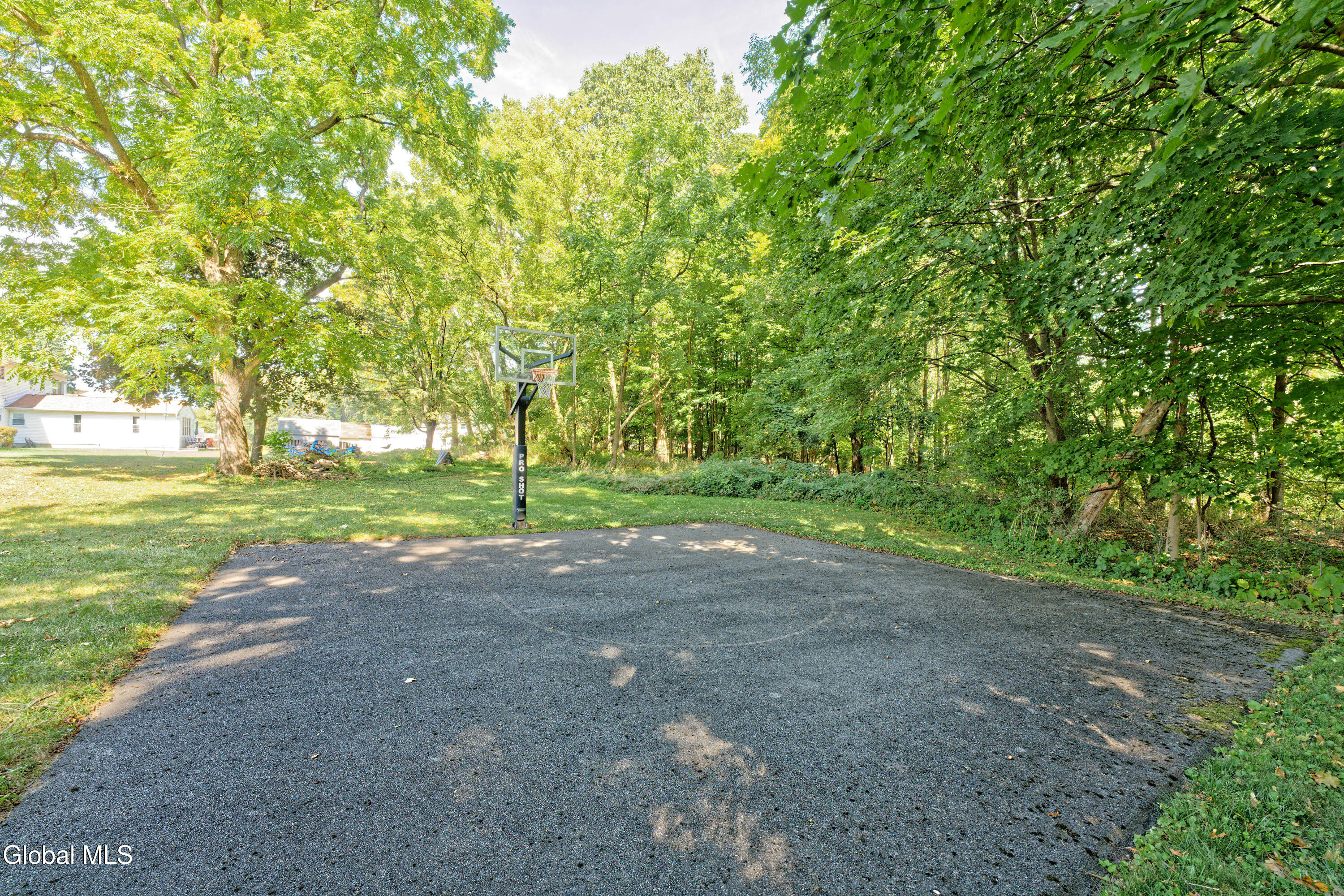 504 Swaggertown Road Glenville, NY 12302 - Photo 44 of 56 Yard 5