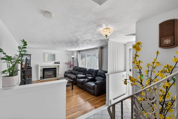 a living room with furniture fireplace and potted plant