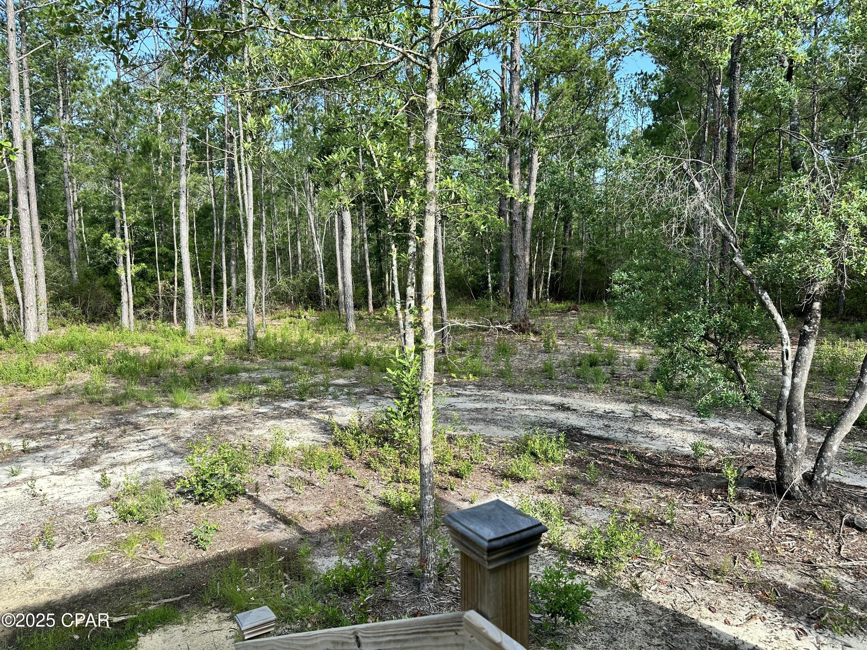 3966 Shell Landing Road Vernon, FL 32462 - Photo 11 of 41