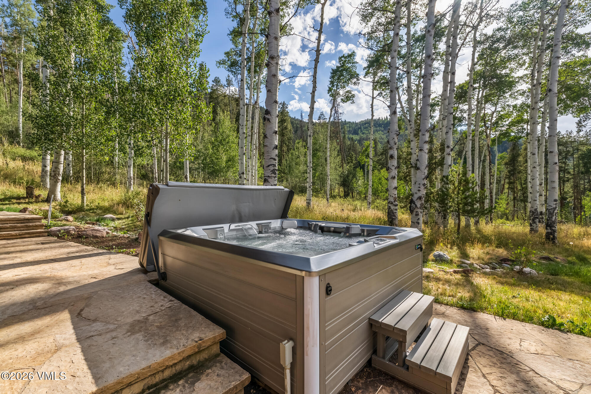 368 Elk Woods Road Edwards, CO 81632 - Photo 41 of 68 7E3A0717_1