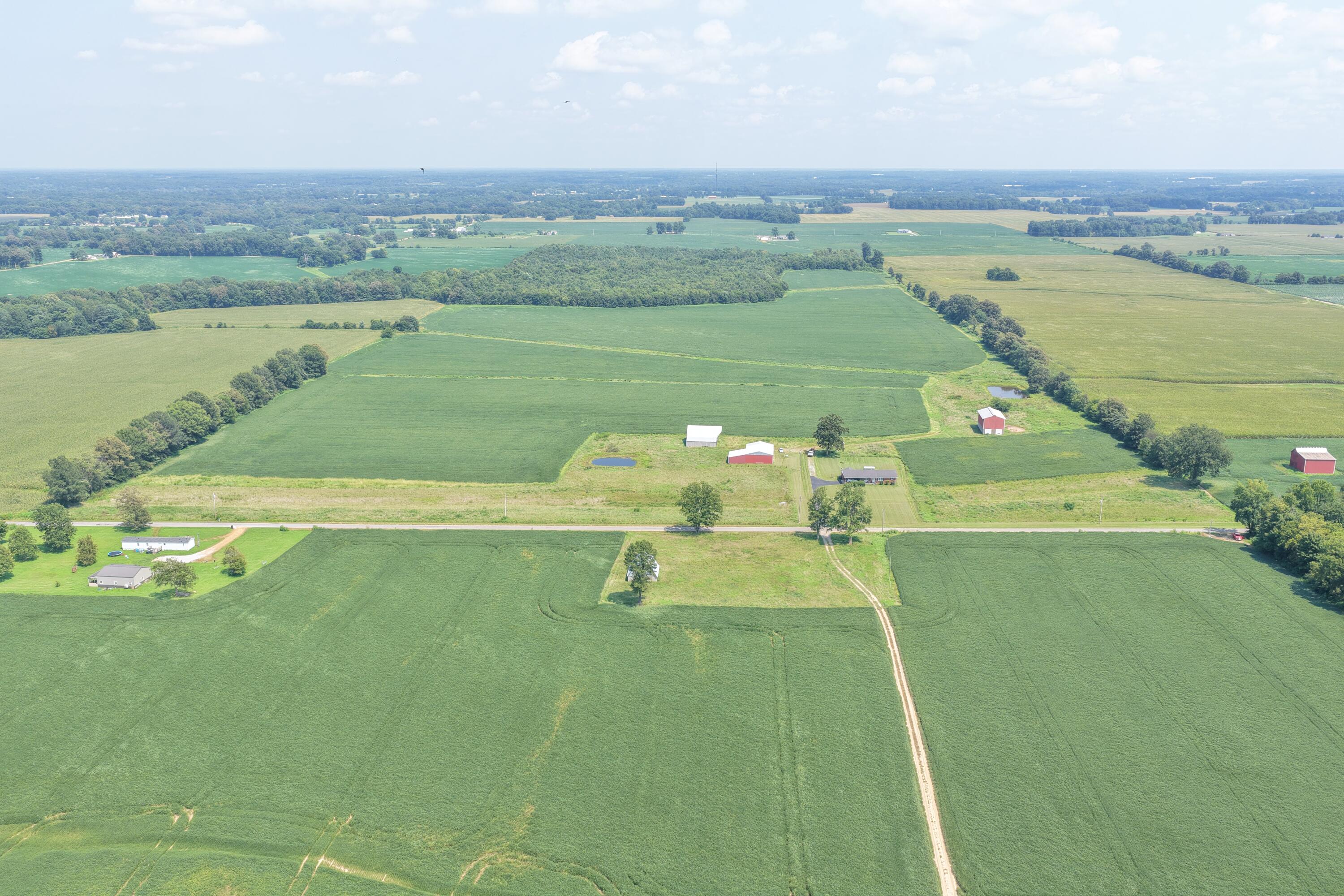 0 Beech Grove Road Farmington, KY 42040 - Photo 1 of 8 Tracts 1-6