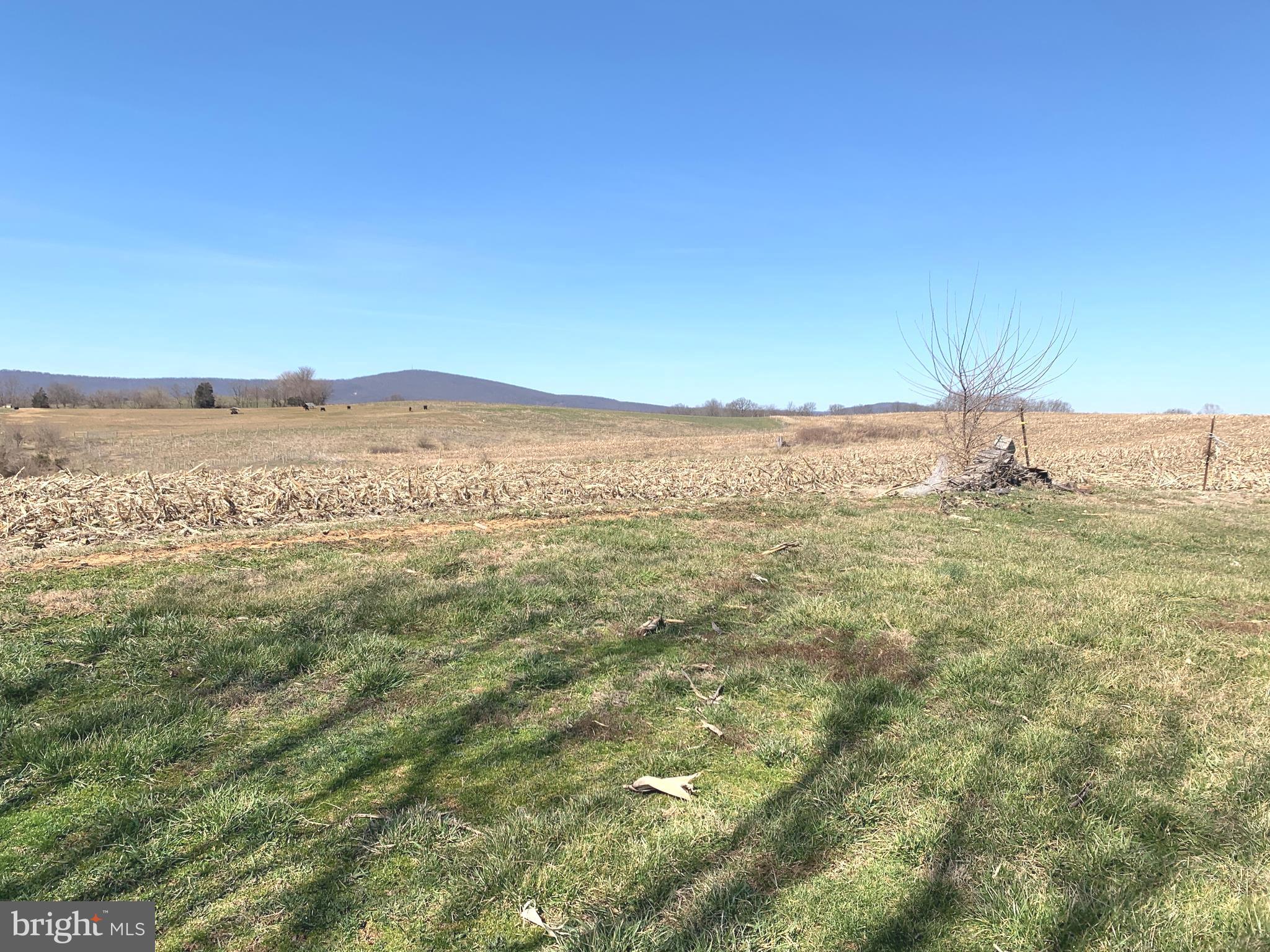 6600 Roy Shafer Road Middletown, MD 21769 - Photo 2 of 3 Backyard overlooking farm pasture
