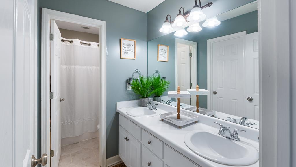 165 Firetower Road Buena Vista, GA 31803 - Photo 19 of 30 a bathroom with a sink vanity and a mirror
