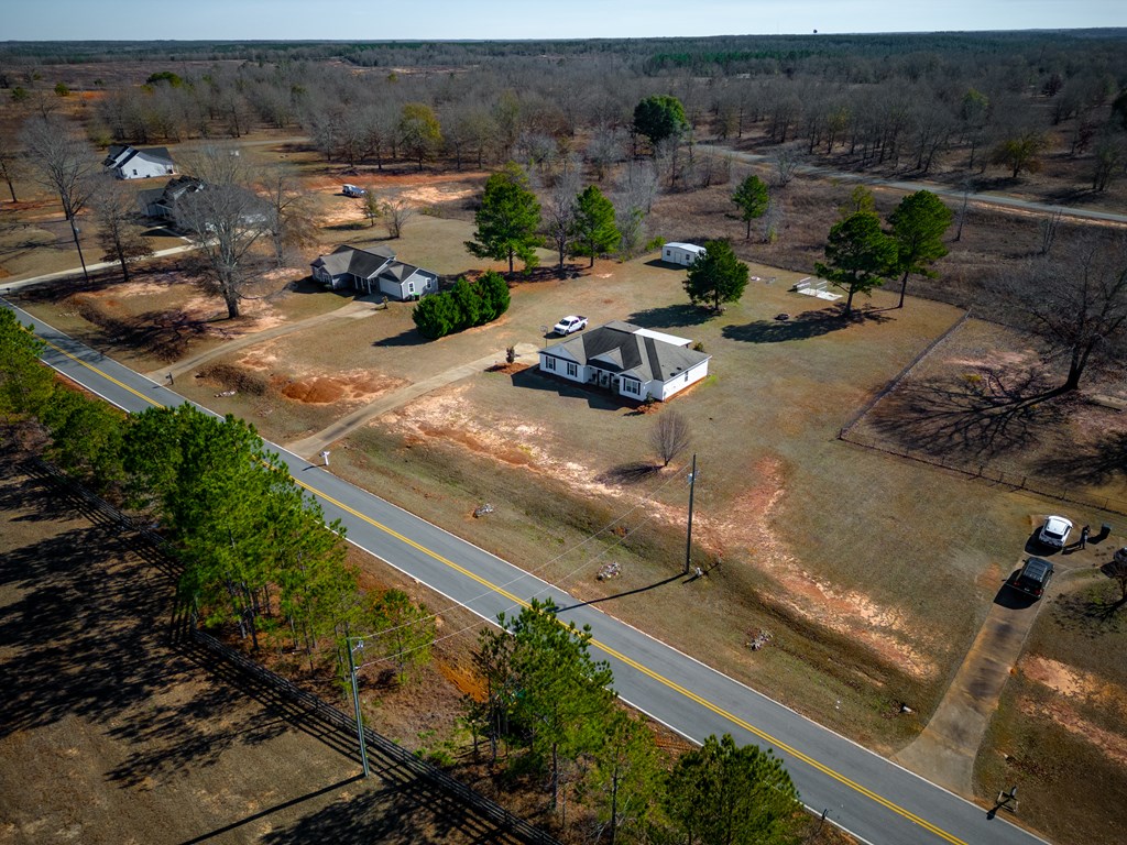 165 Firetower Road Buena Vista, GA 31803 - Photo 28 of 30 an aerial view of a house with outdoor space