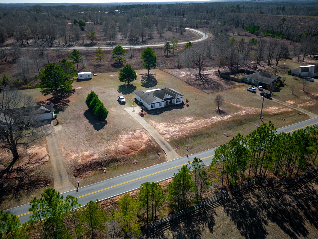 165 Firetower Road Buena Vista, GA 31803 - Photo 29 of 30 a view of a backyard of the house