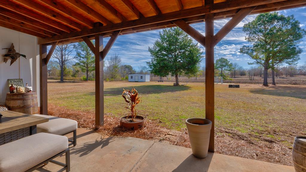165 Firetower Road Buena Vista, GA 31803 - Photo 30 of 30 a house view with a backyard space
