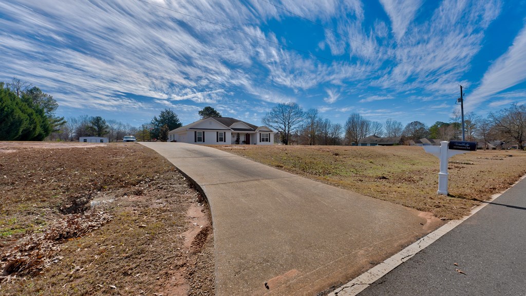 165 Firetower Road Buena Vista, GA 31803 - Photo 3 of 30 a view of a backyard