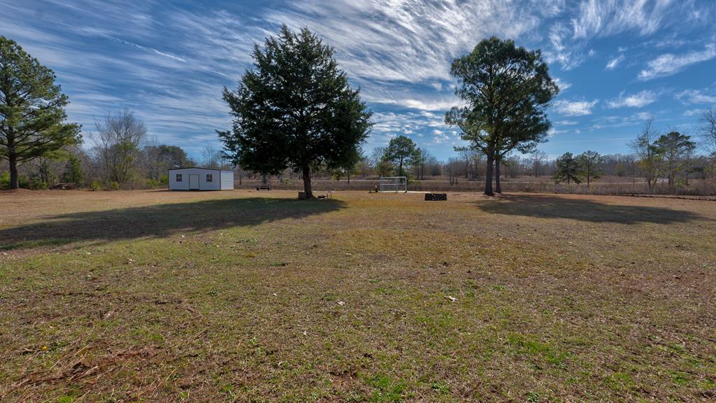 165 Firetower Road Buena Vista, GA 31803 - Photo 5 of 30 a view of dirt yard with a large tree