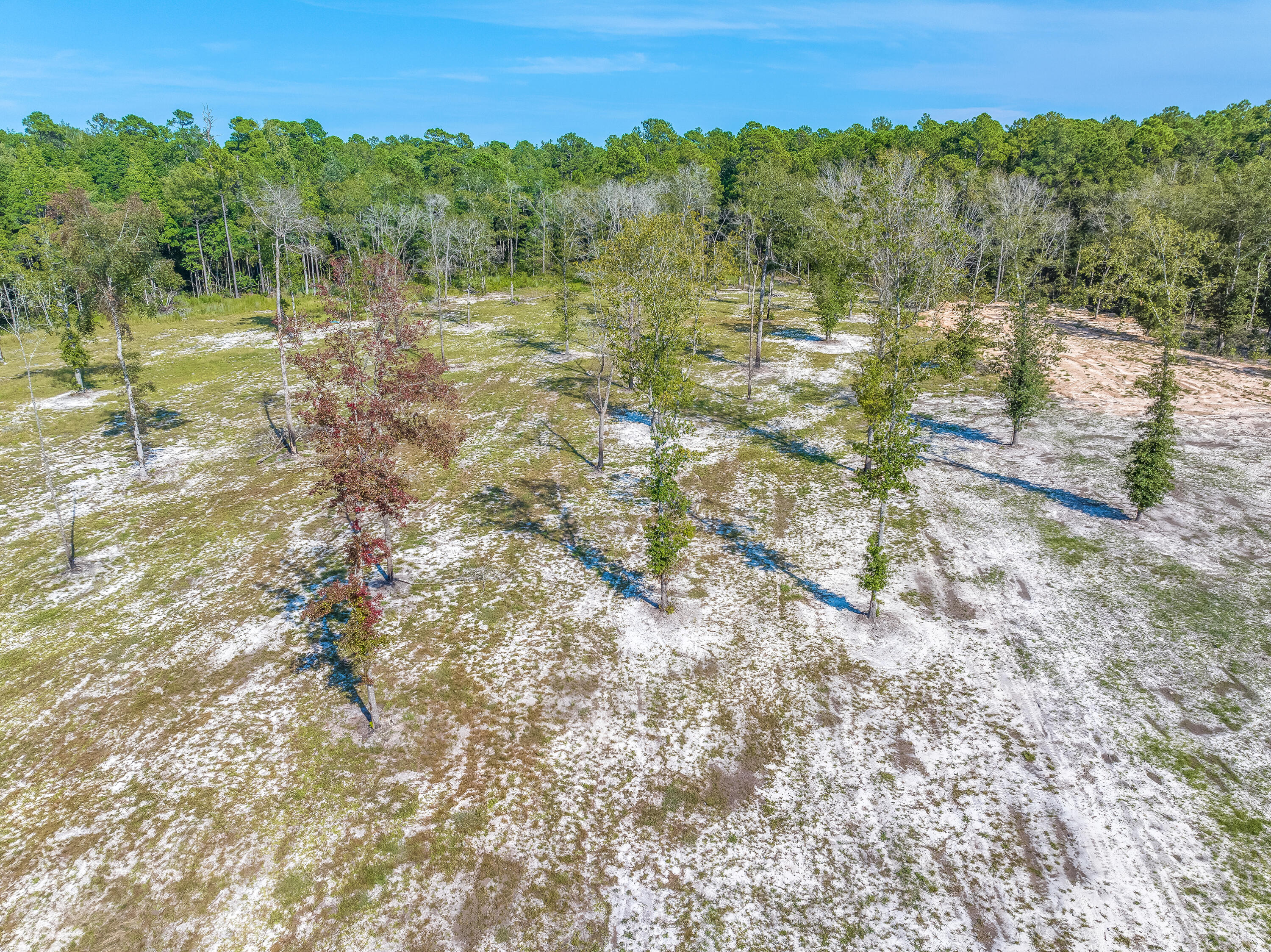 592 Stokes Road Walterboro, SC 29488 - Photo 9 of 12 8