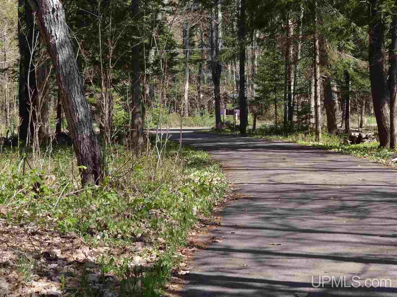 46795 Bootjack Road Lake Linden, MI 49945 - Photo 45 of 48