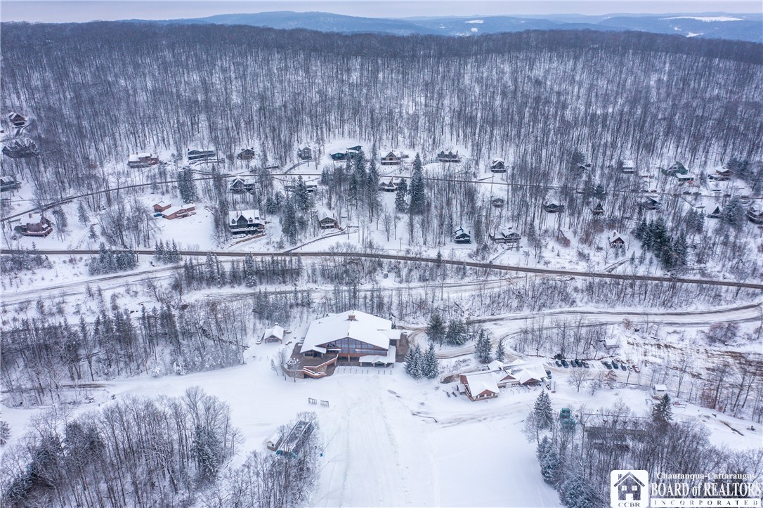 6710 Upper Road Ellicottville, NY 14731 - Photo 4 of 43
