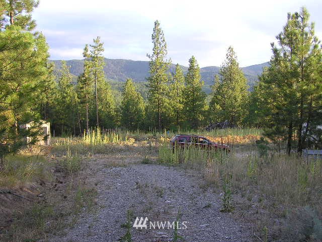 -tbd Tunk Creek Road Riverside, WA 98849 - Photo 1 of 1