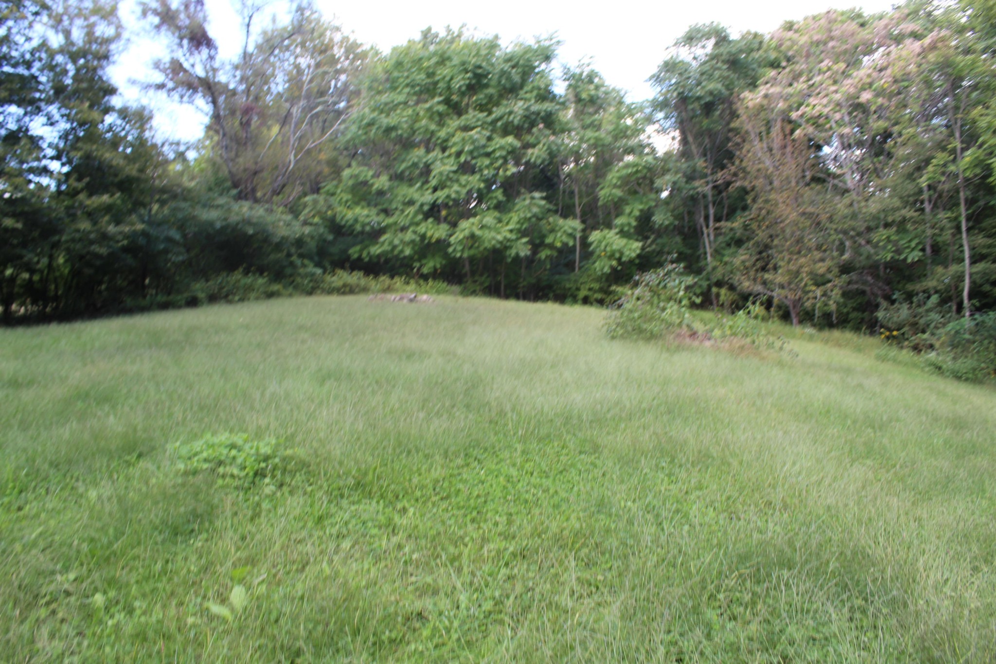2104 Doubletop Road Jamestown, TN 38556 - Photo 7 of 28 Gallery Image 7
