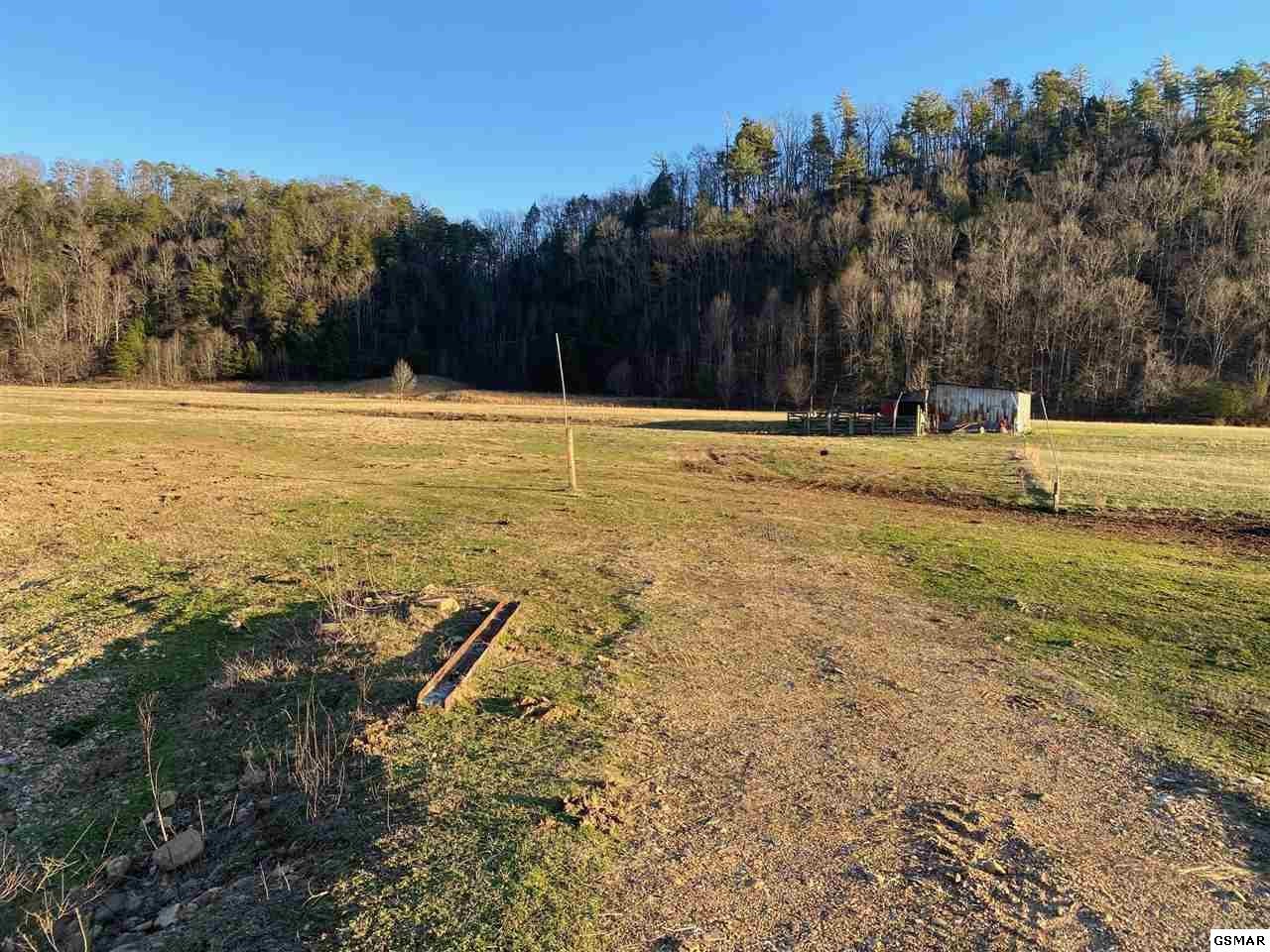 0 Waldens Creek Road Sevierville, TN 37862 - Photo 5 of 8