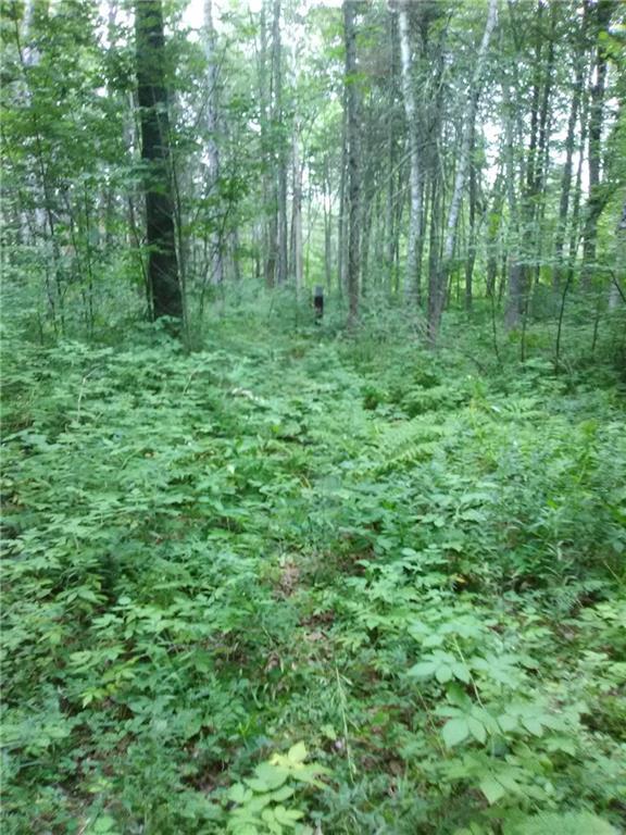 65 Loop Road South Searsport, ME 04974 - Photo 15 of 16 Photo