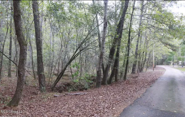 $90,000 | Westline Lots Drive, Madison, MS 39110