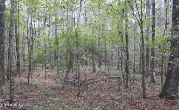 $90,000 | Westline Lots Drive, Madison, MS 39110