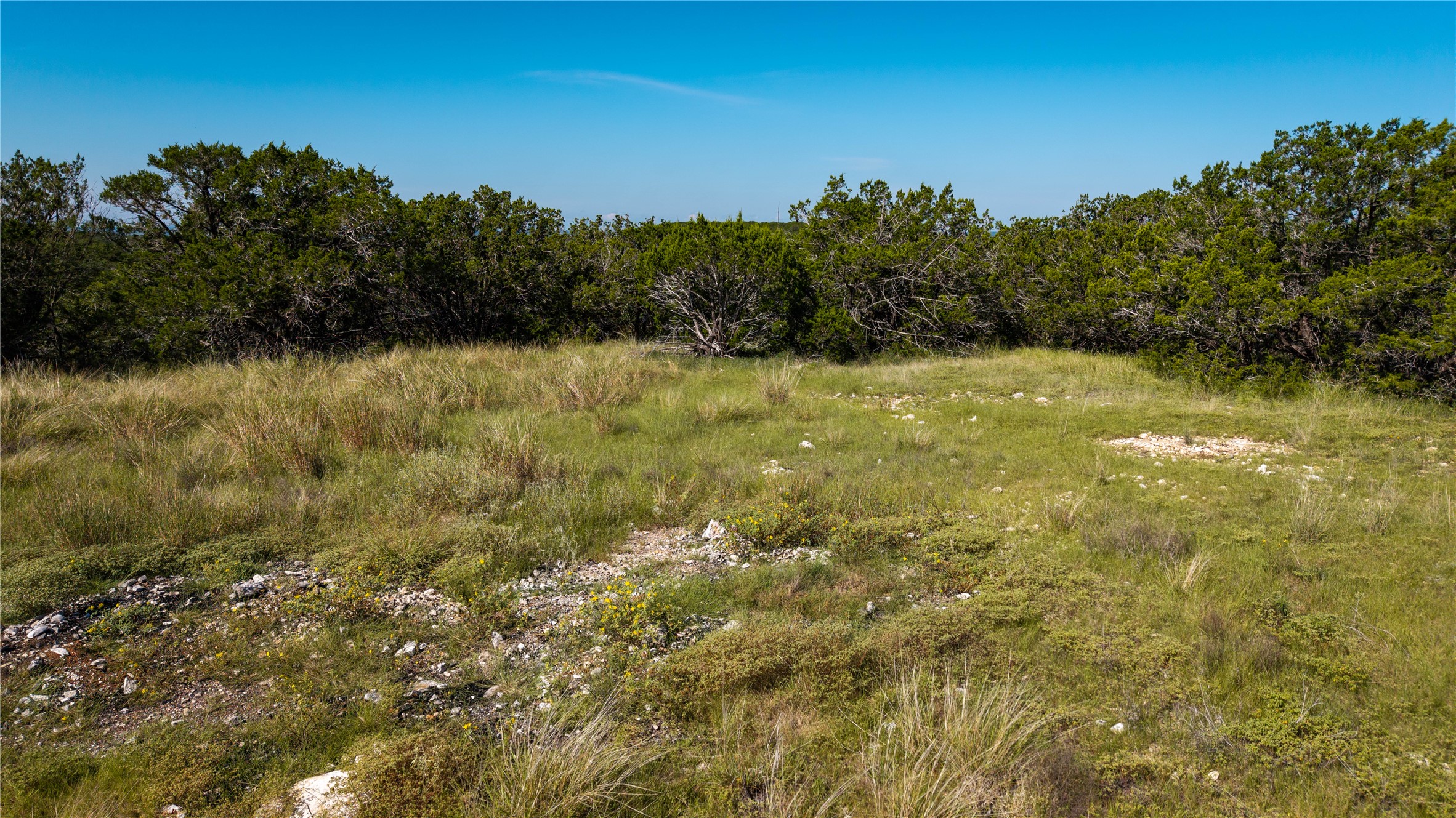 150 Henderson Branch Road West Ingram, TX 78025 - Photo 5 of 35 a view of a yard