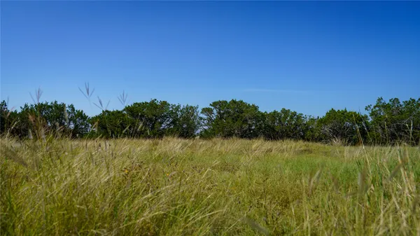 a view of a lake from a yard