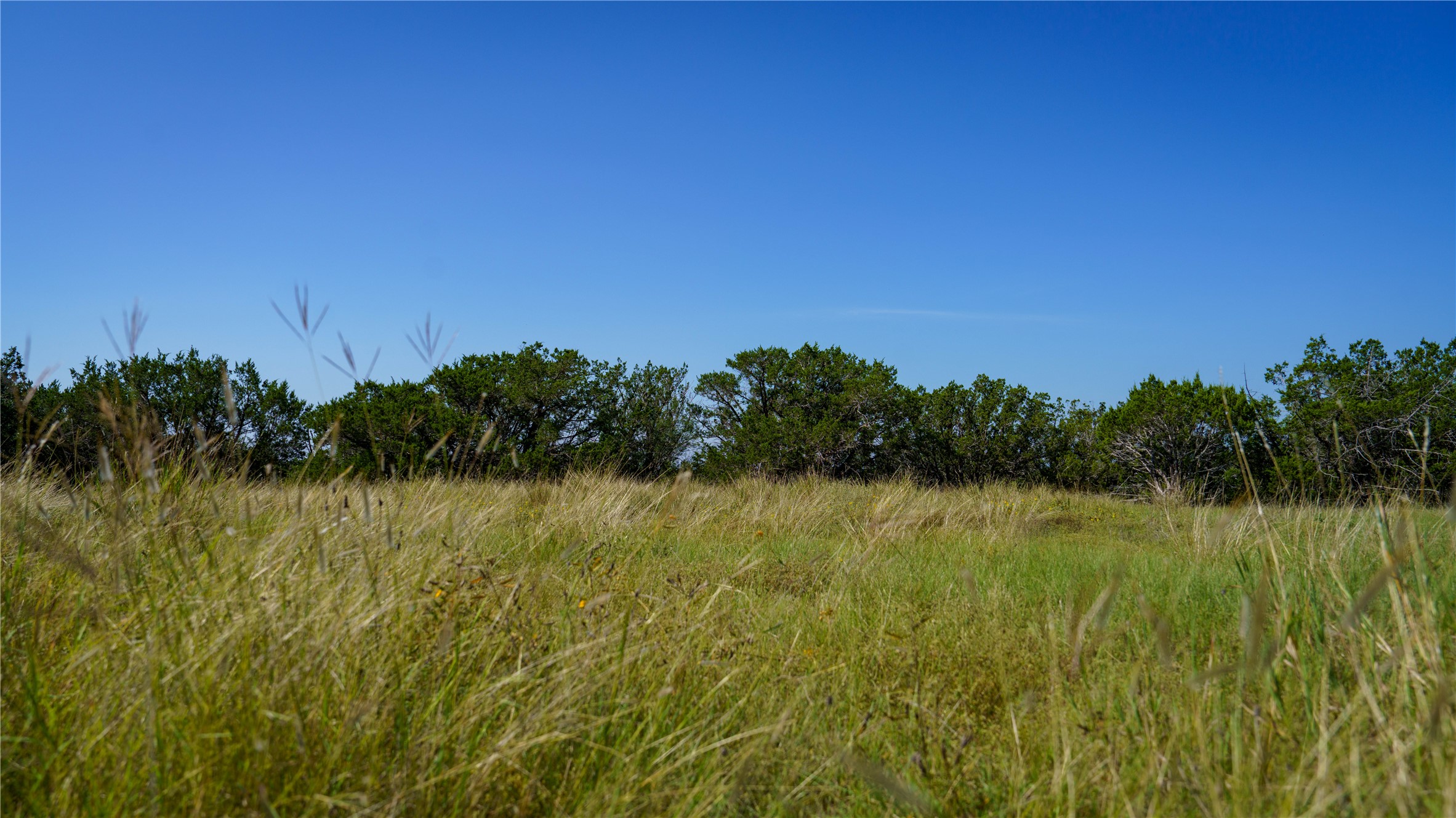 150 Henderson Branch Road West Ingram, TX 78025 - Photo 8 of 35 a view of a lake view