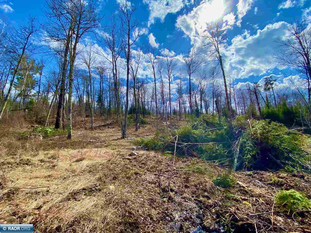 Lot 5 Boulder Ridge Road Cook, MN 55723 - Photo 11 of 19