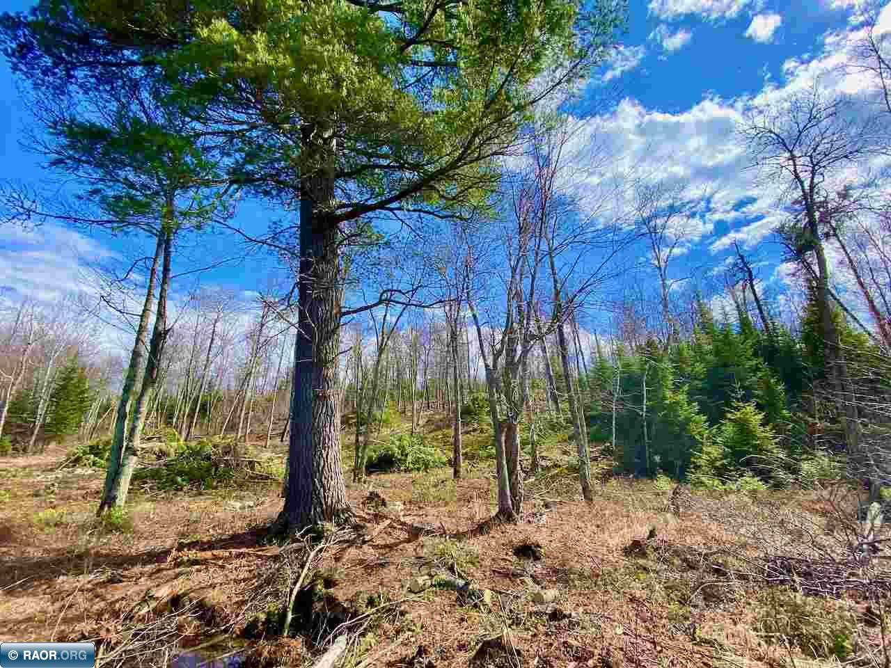 Lot 5 Boulder Ridge Road Cook, MN 55723 - Photo 12 of 19