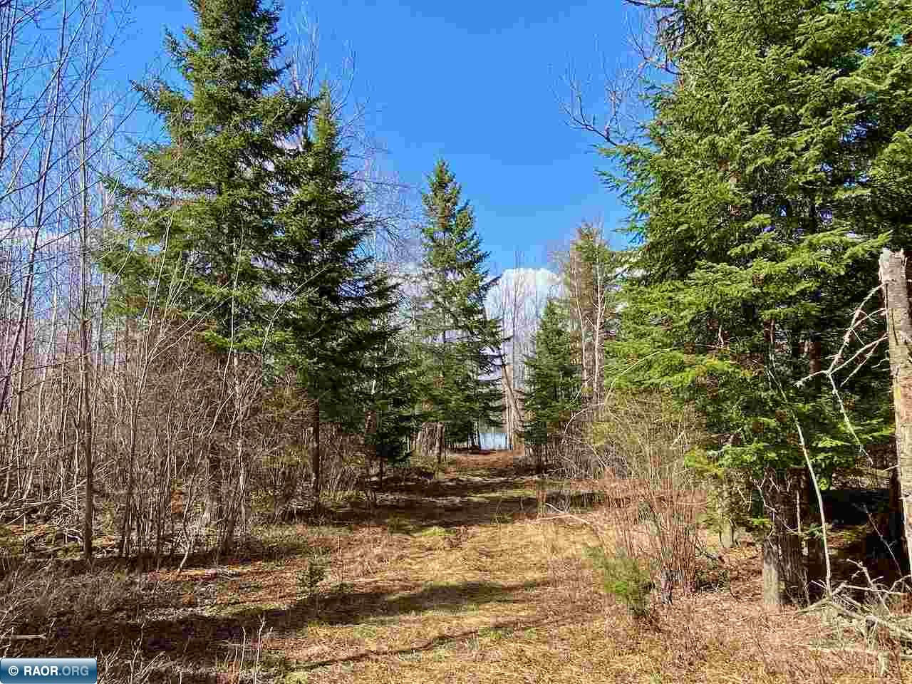 Lot 5 Boulder Ridge Road Cook, MN 55723 - Photo 4 of 19